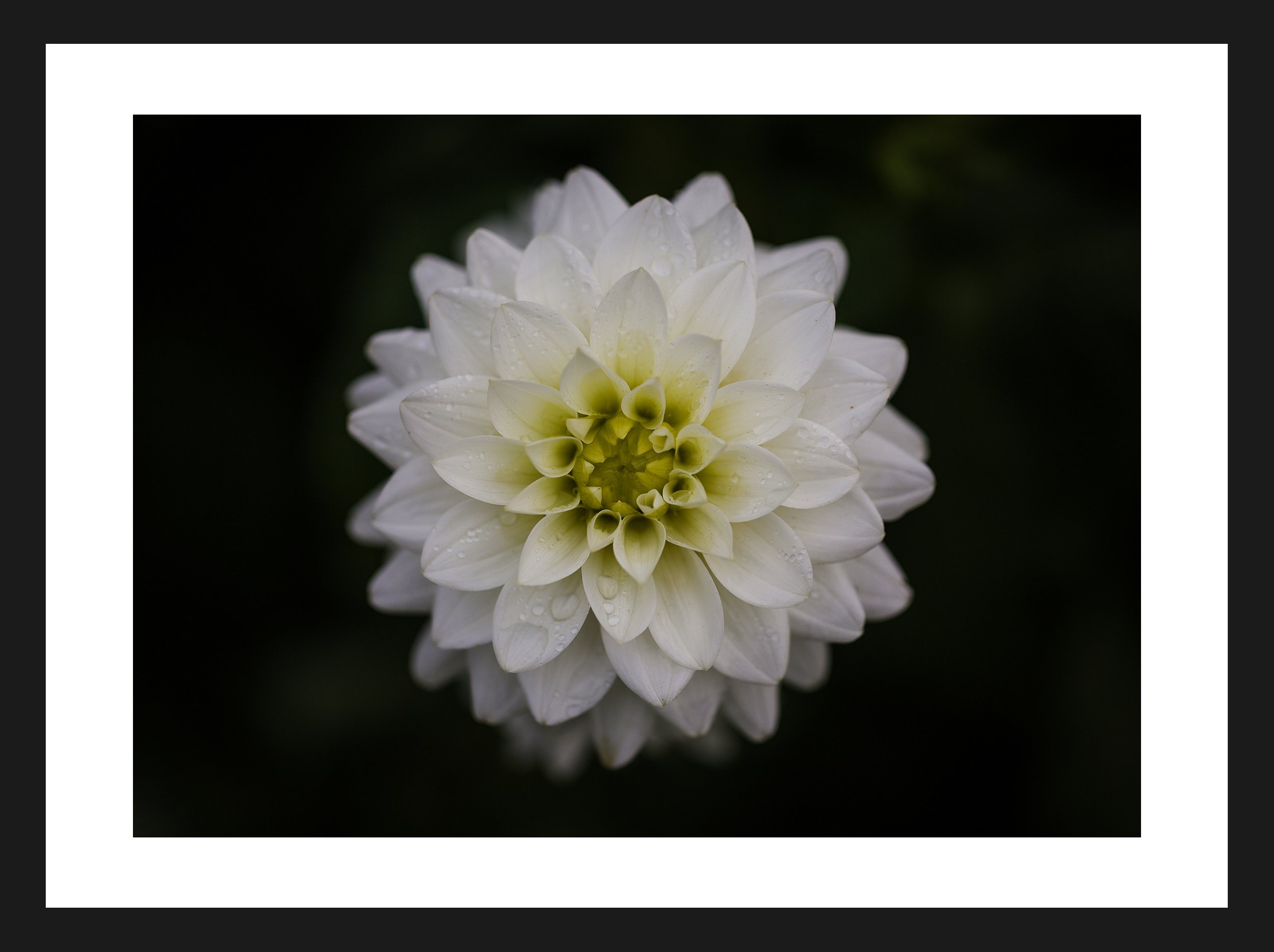 Dimensionen einstellen 2702x2019 px (38).jpeg