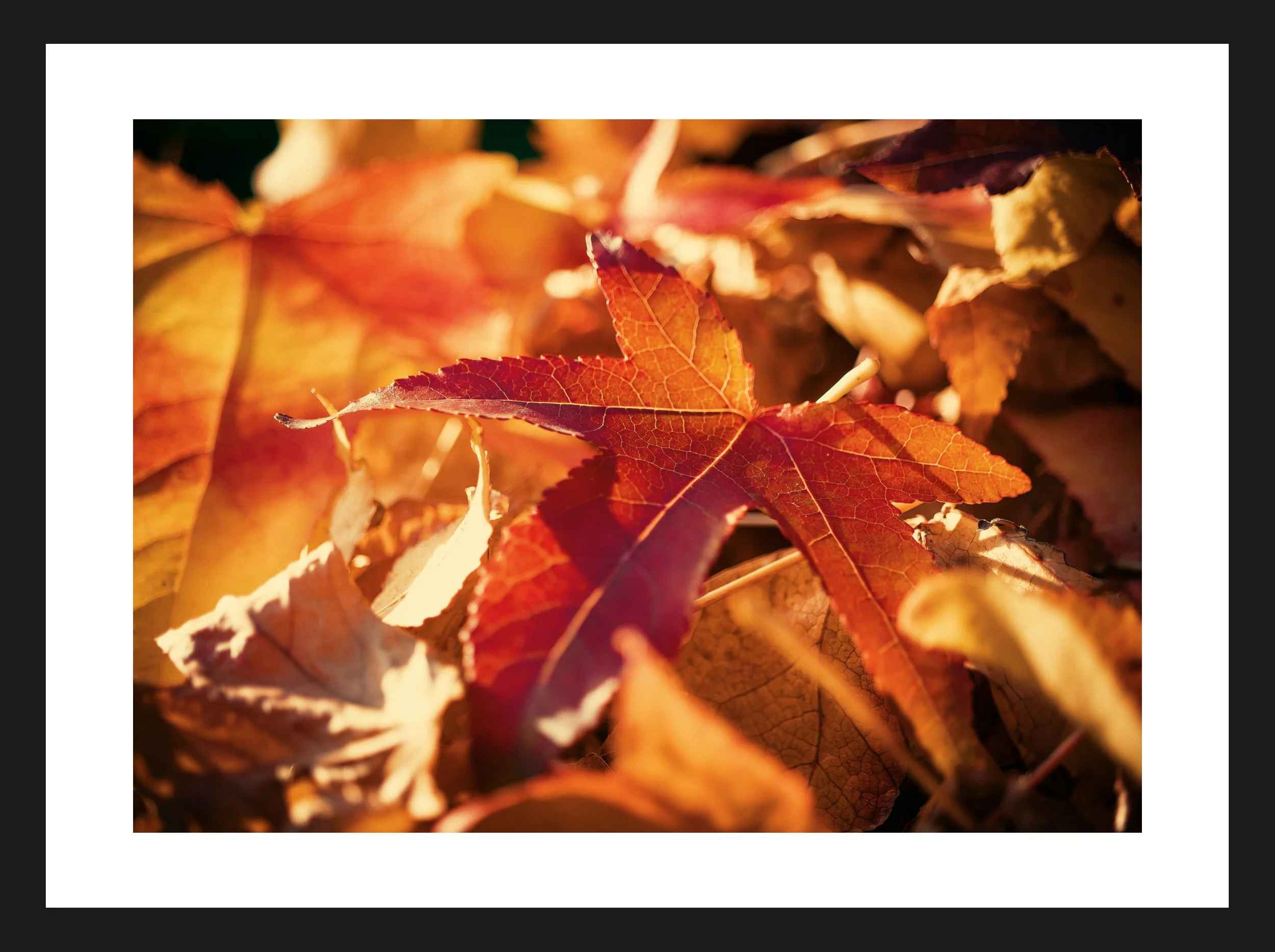 Dimensionen einstellen 2702x2019 px (79).jpeg