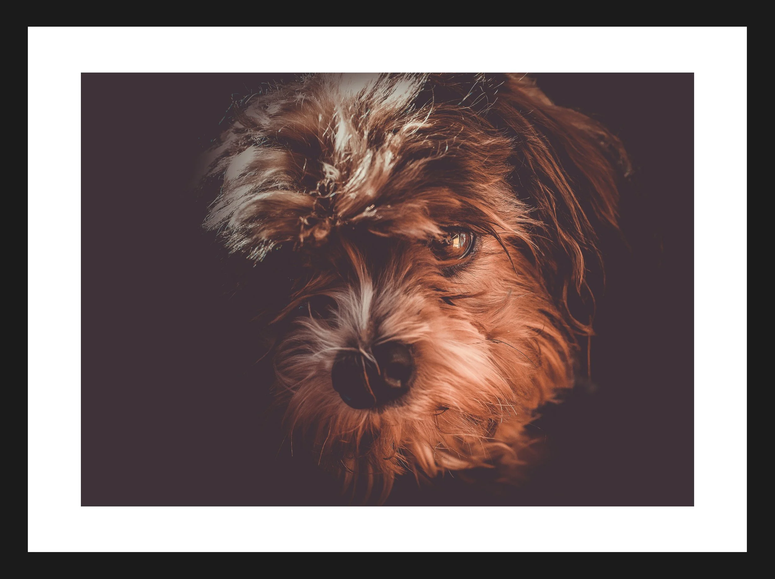 Dimensionen einstellen 2702x2019 px (67).jpeg