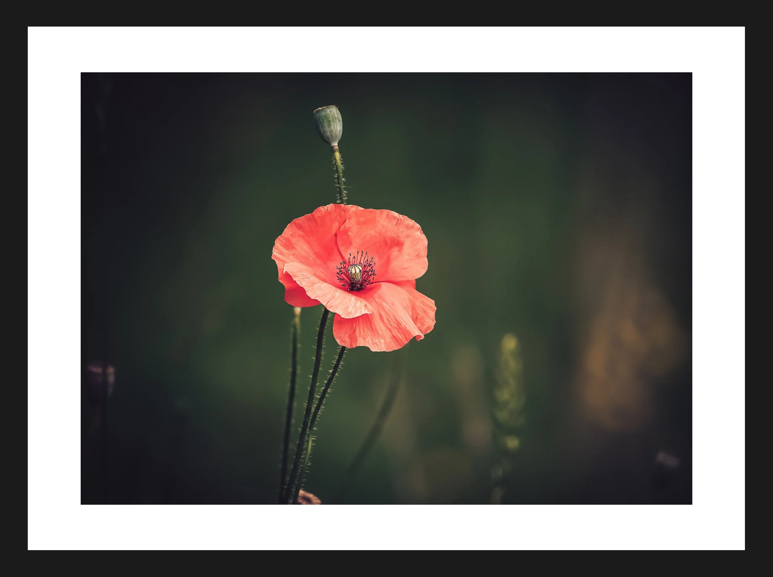 Dimensionen einstellen 2702x2019 px (76).jpeg