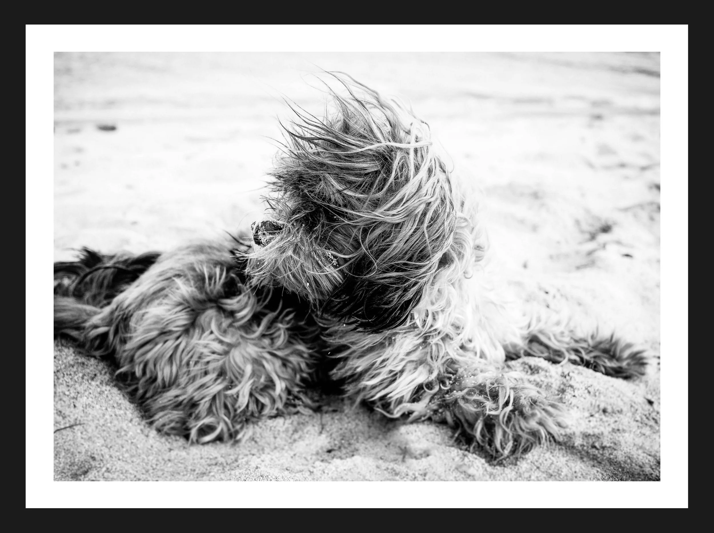 Dimensionen einstellen 2702x2019 px (7).jpeg