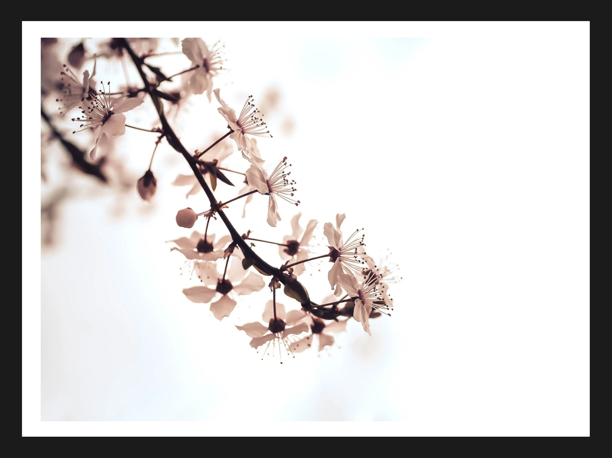 Dimensionen einstellen 2702x2019 px (42).jpeg