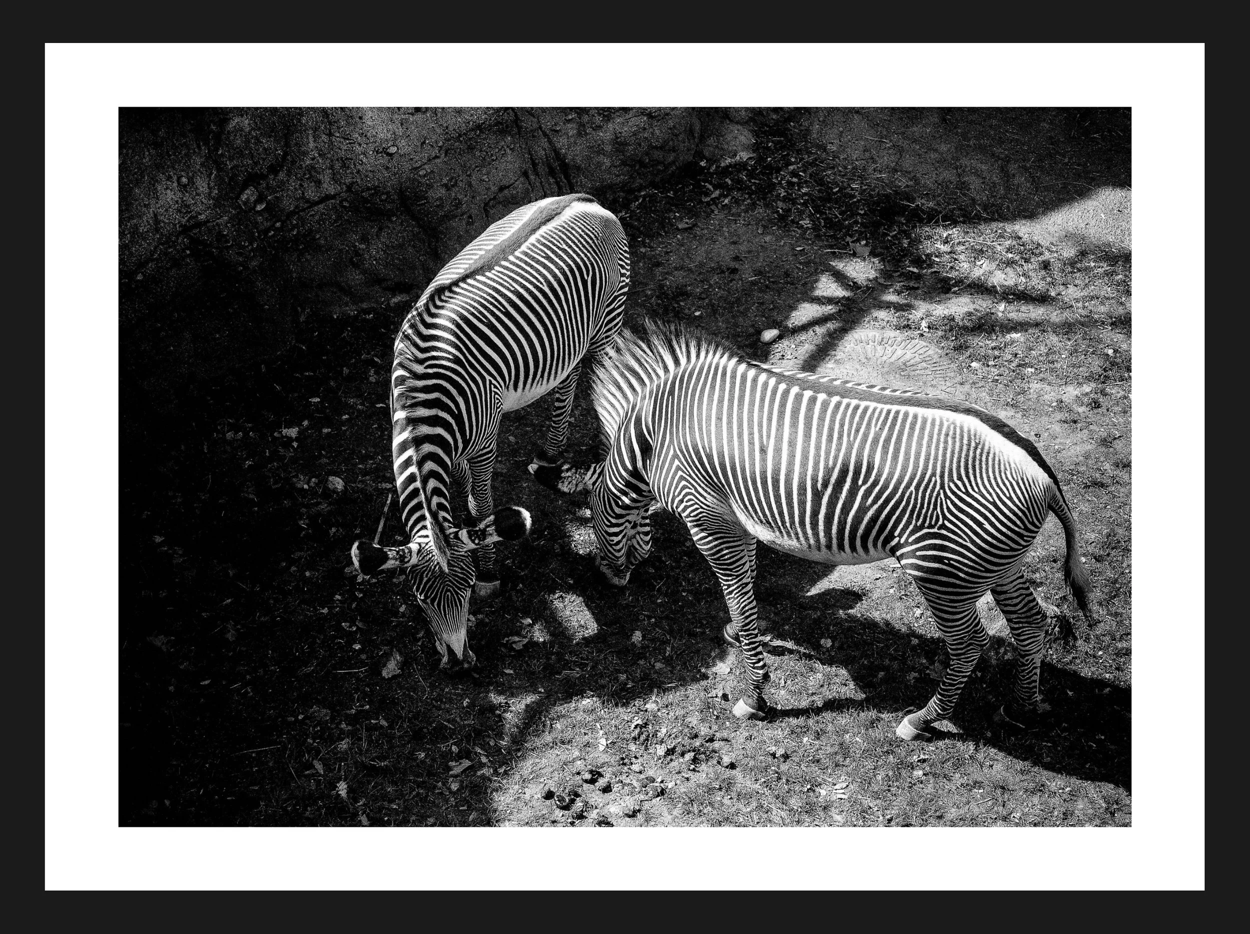 Dimensionen einstellen 2702x2019 px (28).jpeg