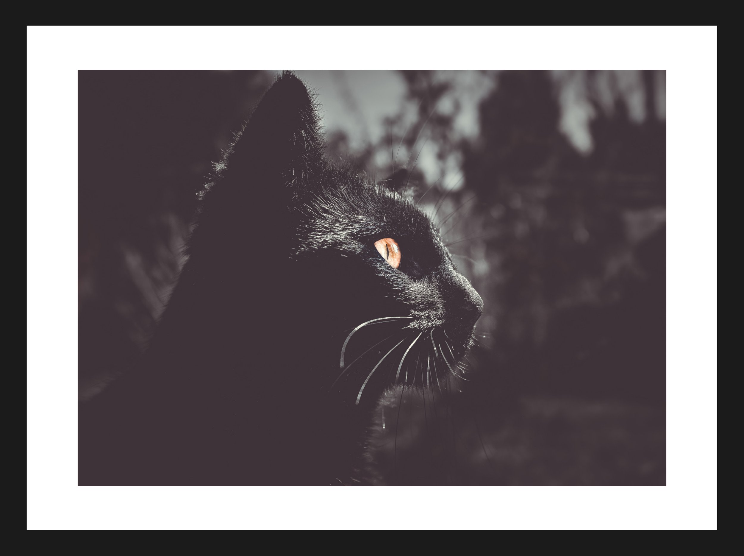 Dimensionen einstellen 2702x2019 px (69).jpeg