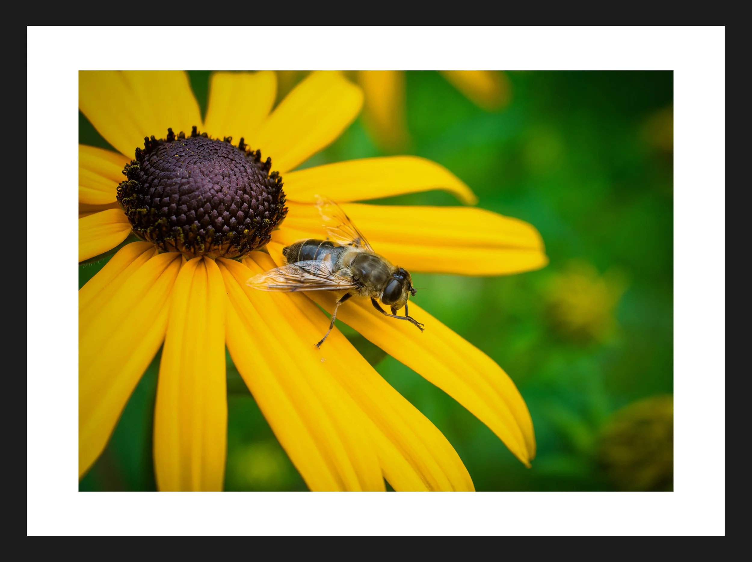 Dimensionen einstellen 2702x2019 px (85).jpeg