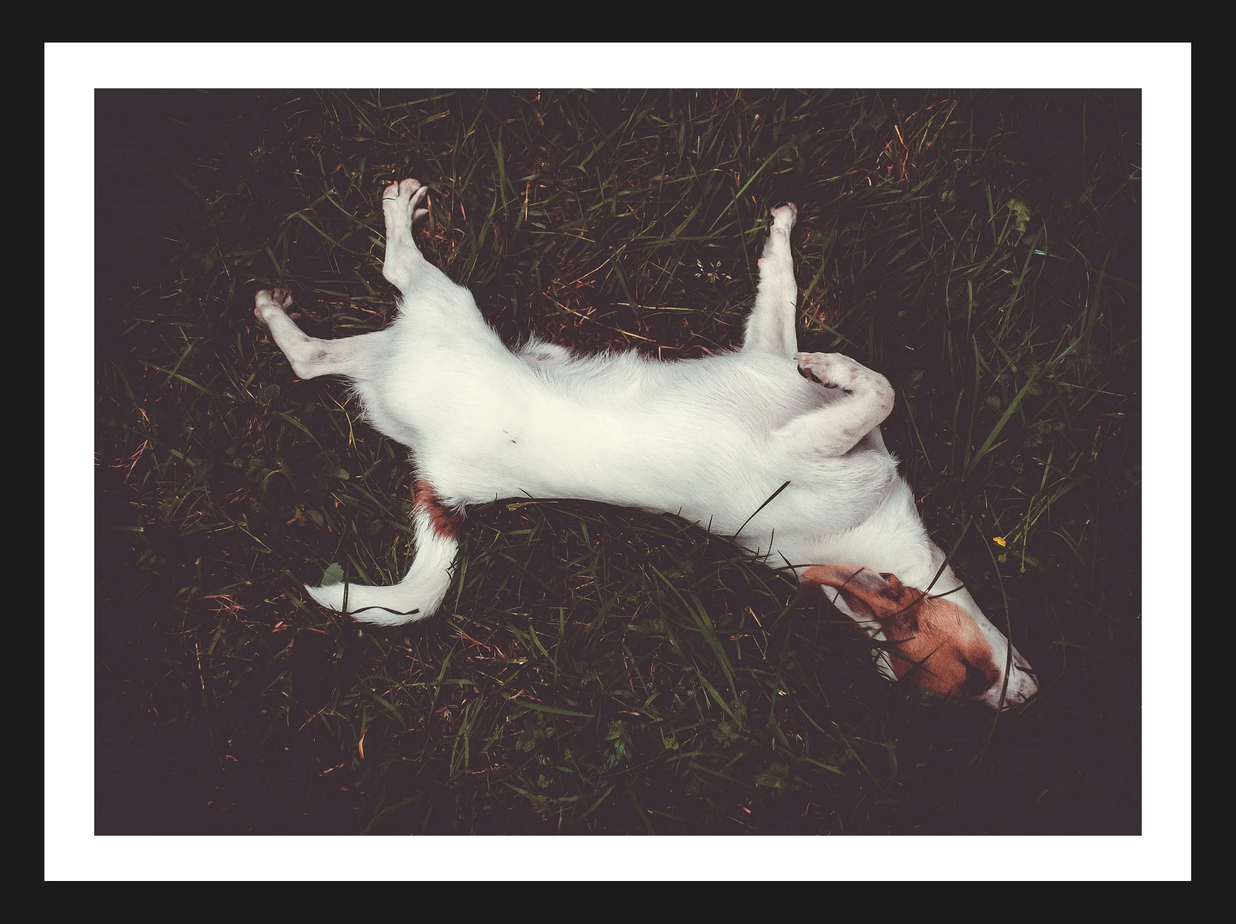 Dimensionen einstellen 2702x2019 px (15).jpeg