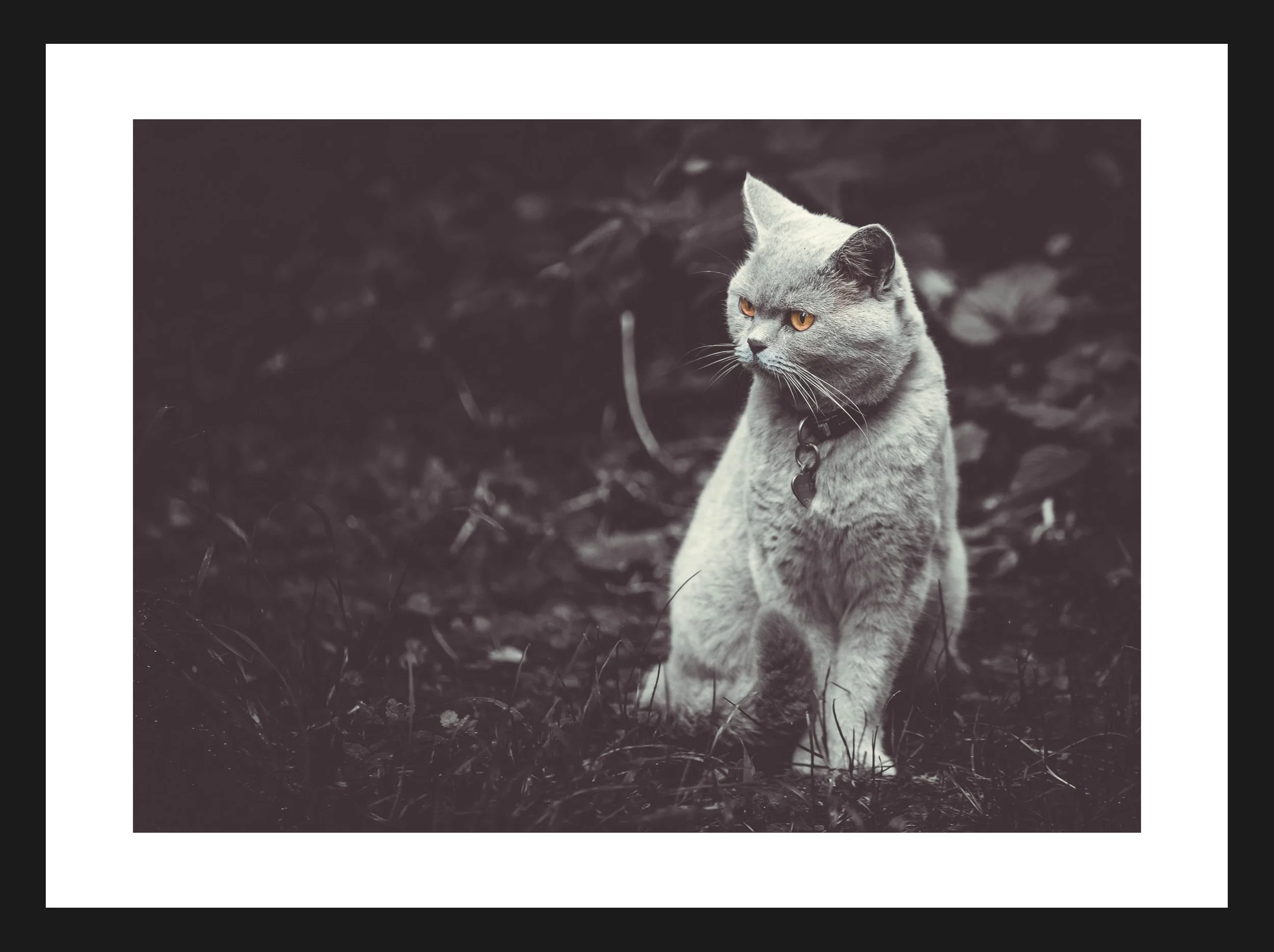 Dimensionen einstellen 2702x2019 px (74).jpeg