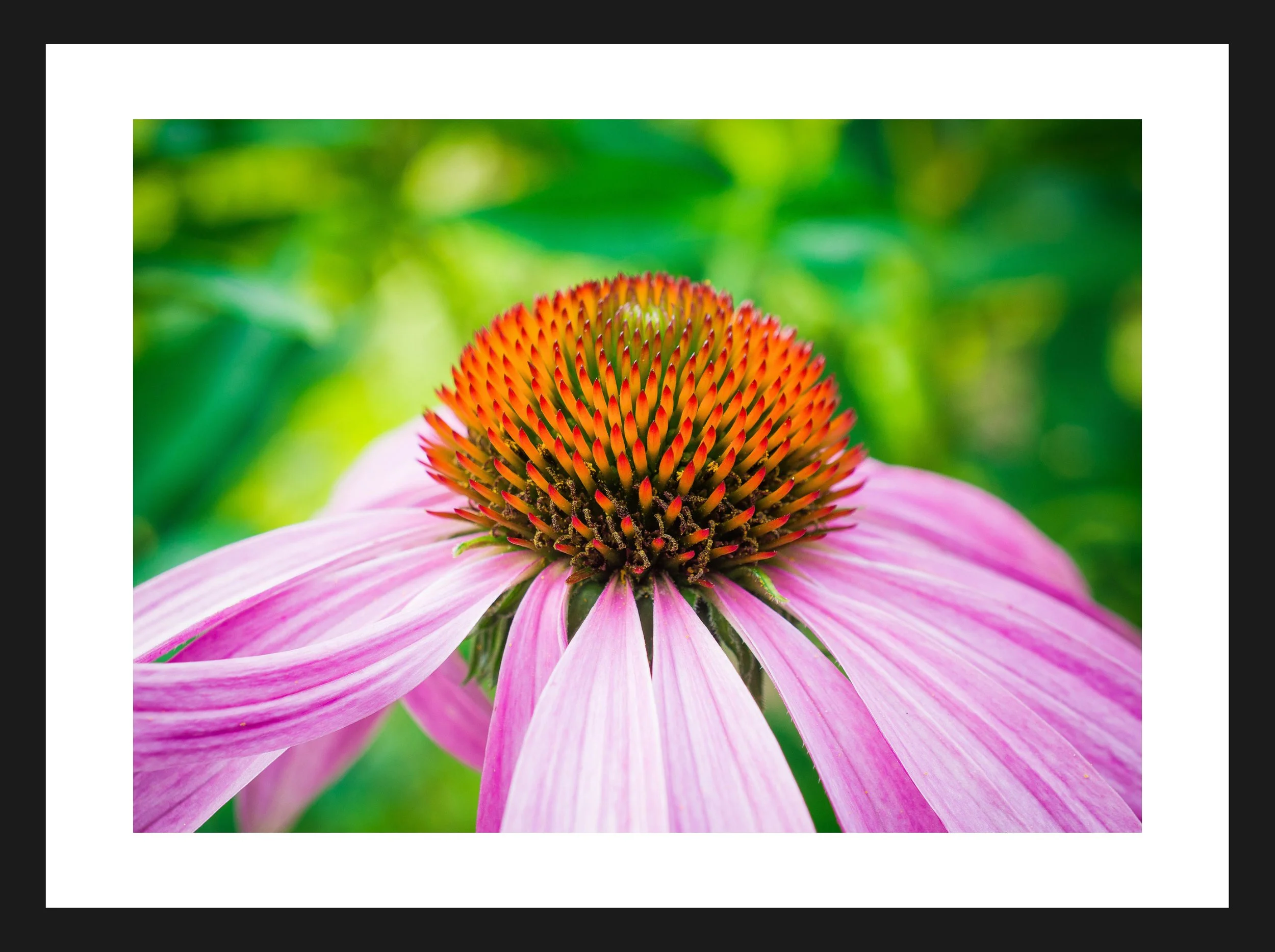 Dimensionen einstellen 2702x2019 px (82).jpeg