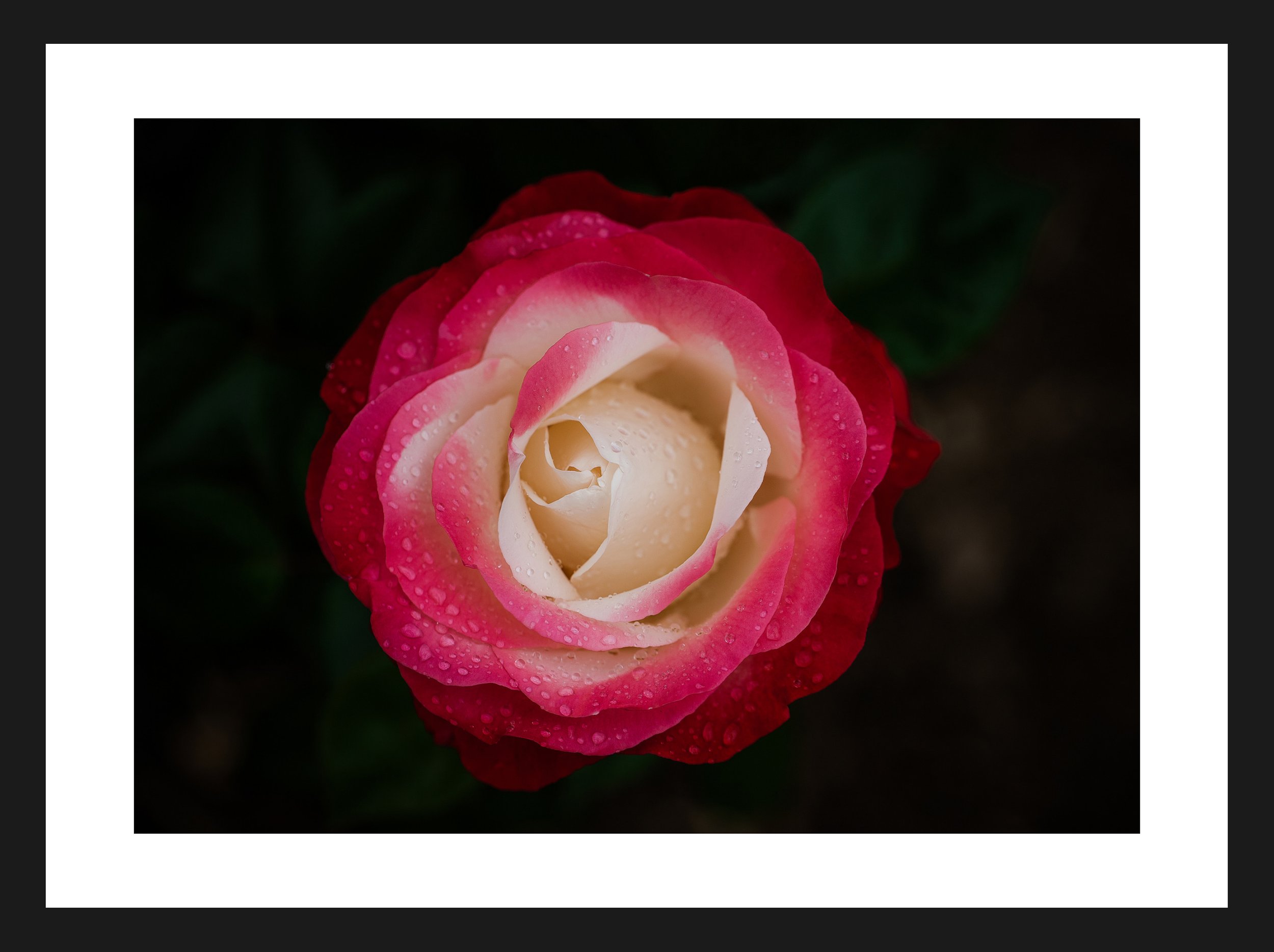 Dimensionen einstellen 2702x2019 px (42).jpeg