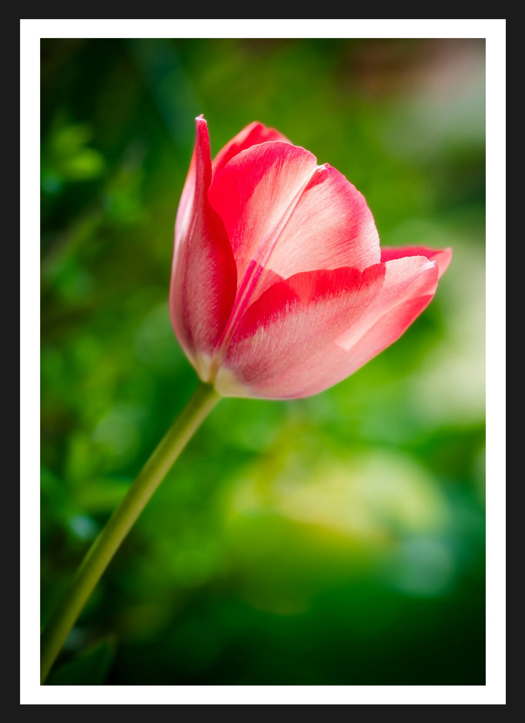 Dimensionen einstellen 1805x2488 px-2.jpeg