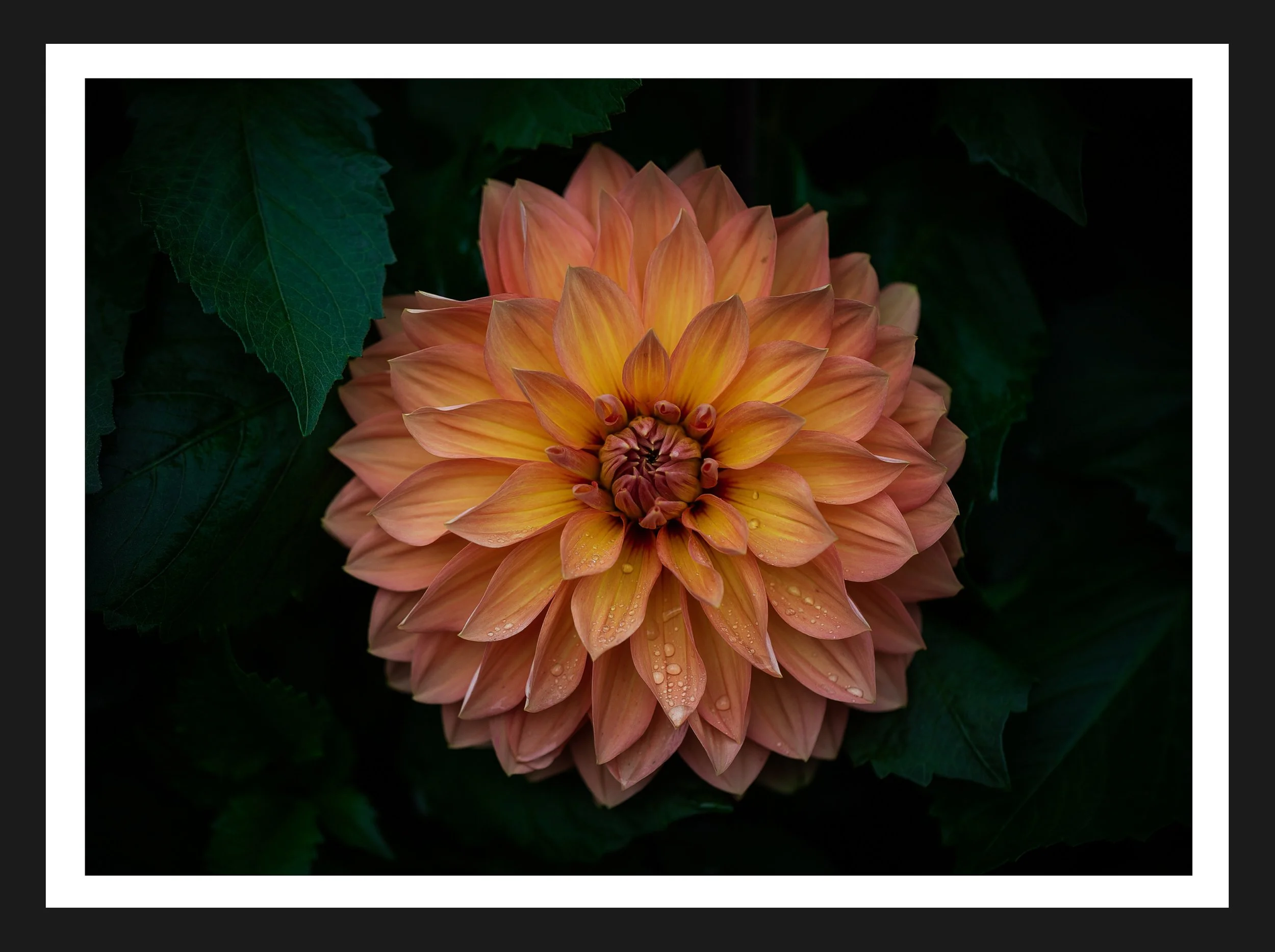 Dimensionen einstellen 2702x2019 px (56).jpeg