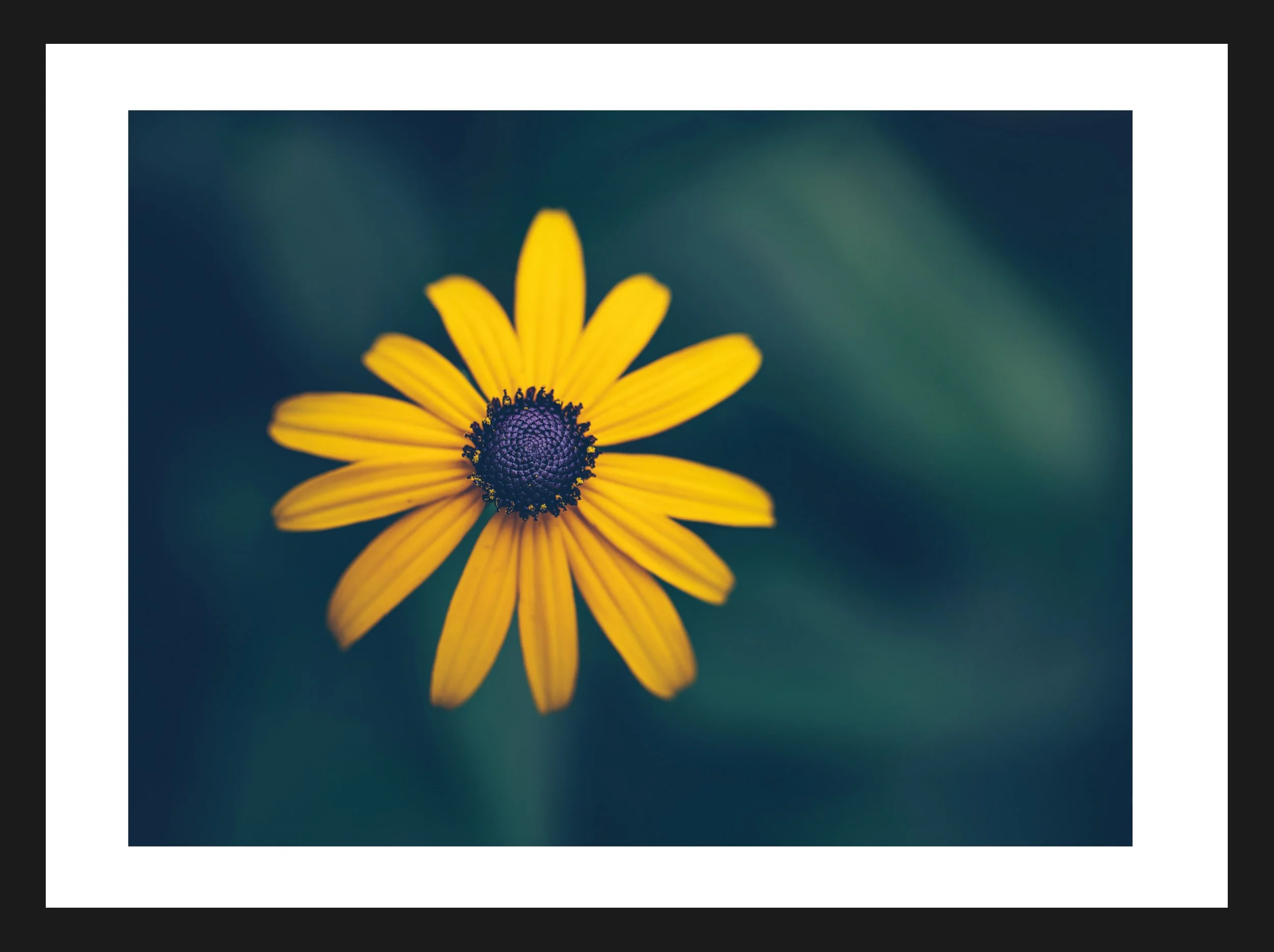 Dimensionen einstellen 2702x2019 px (34).jpeg