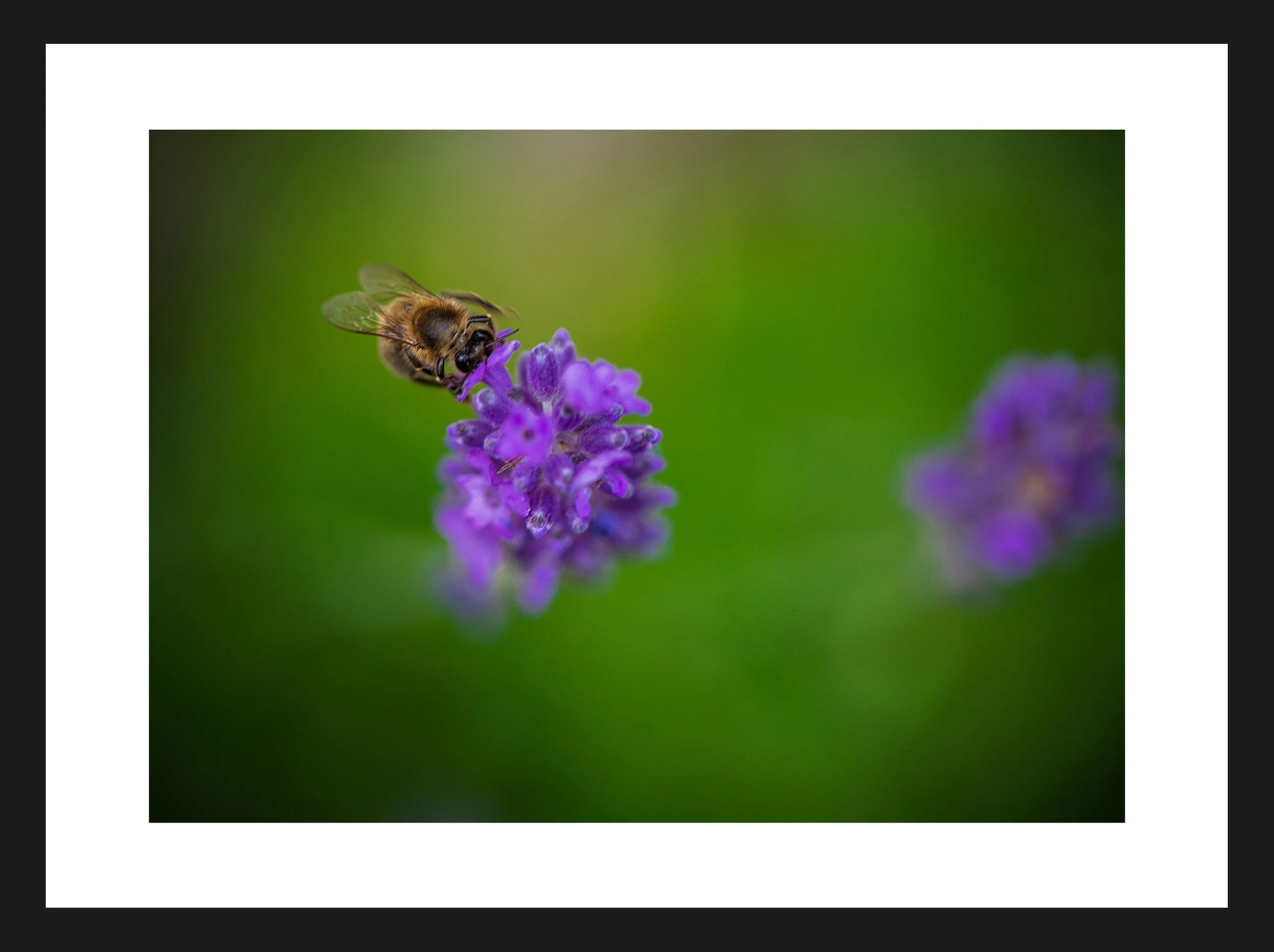 Dimensionen einstellen 2702x2019 px (57).jpeg