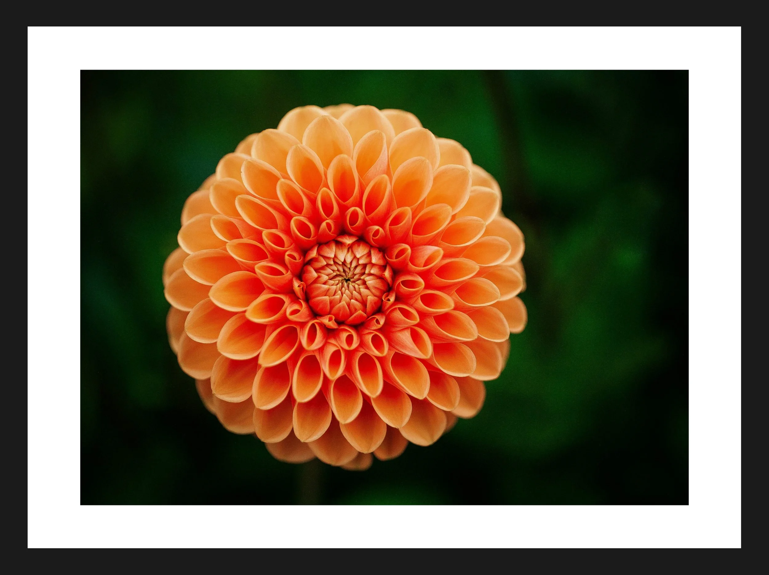 Dimensionen einstellen 2702x2019 px (33).jpeg