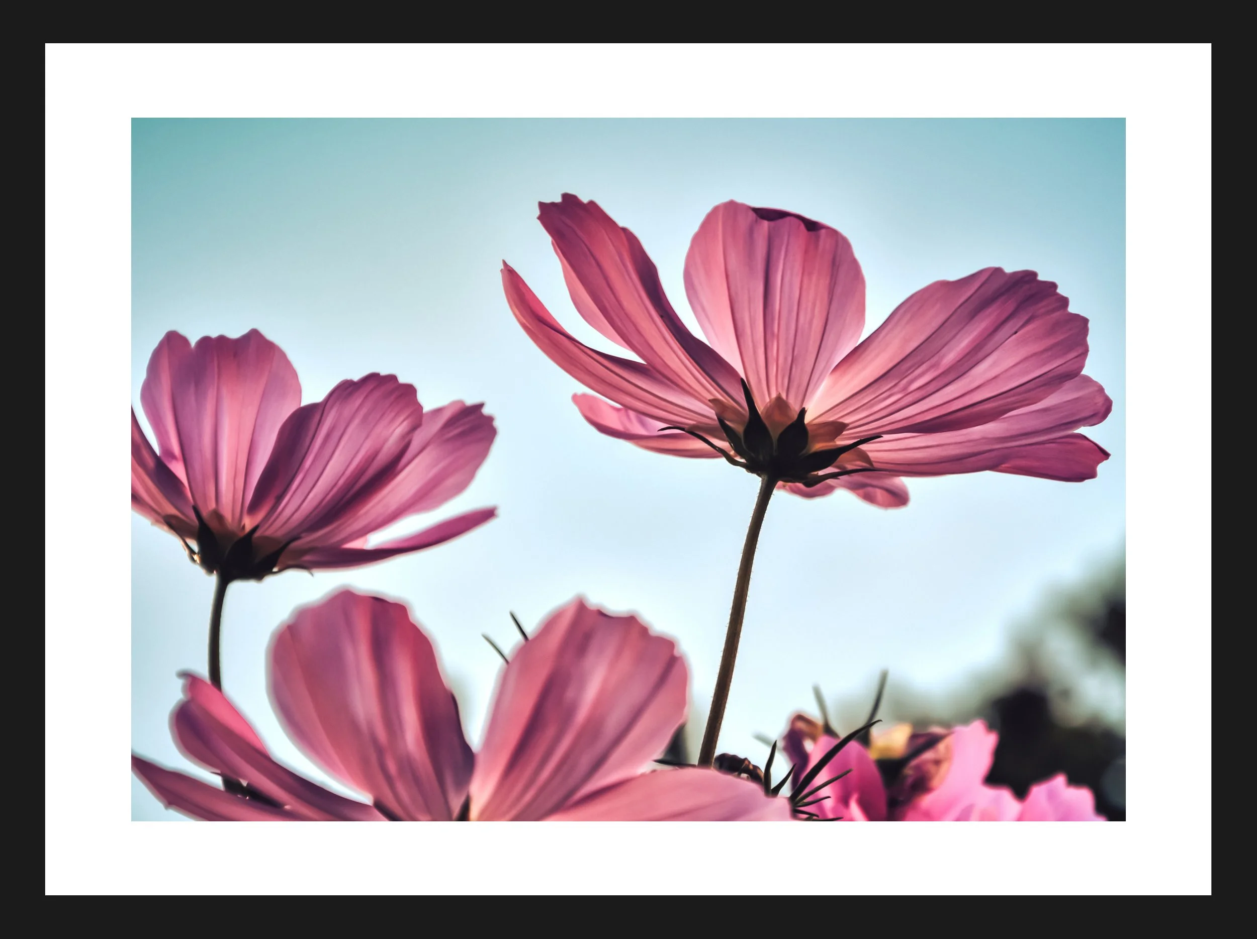 Dimensionen einstellen 2702x2019 px (65).jpeg