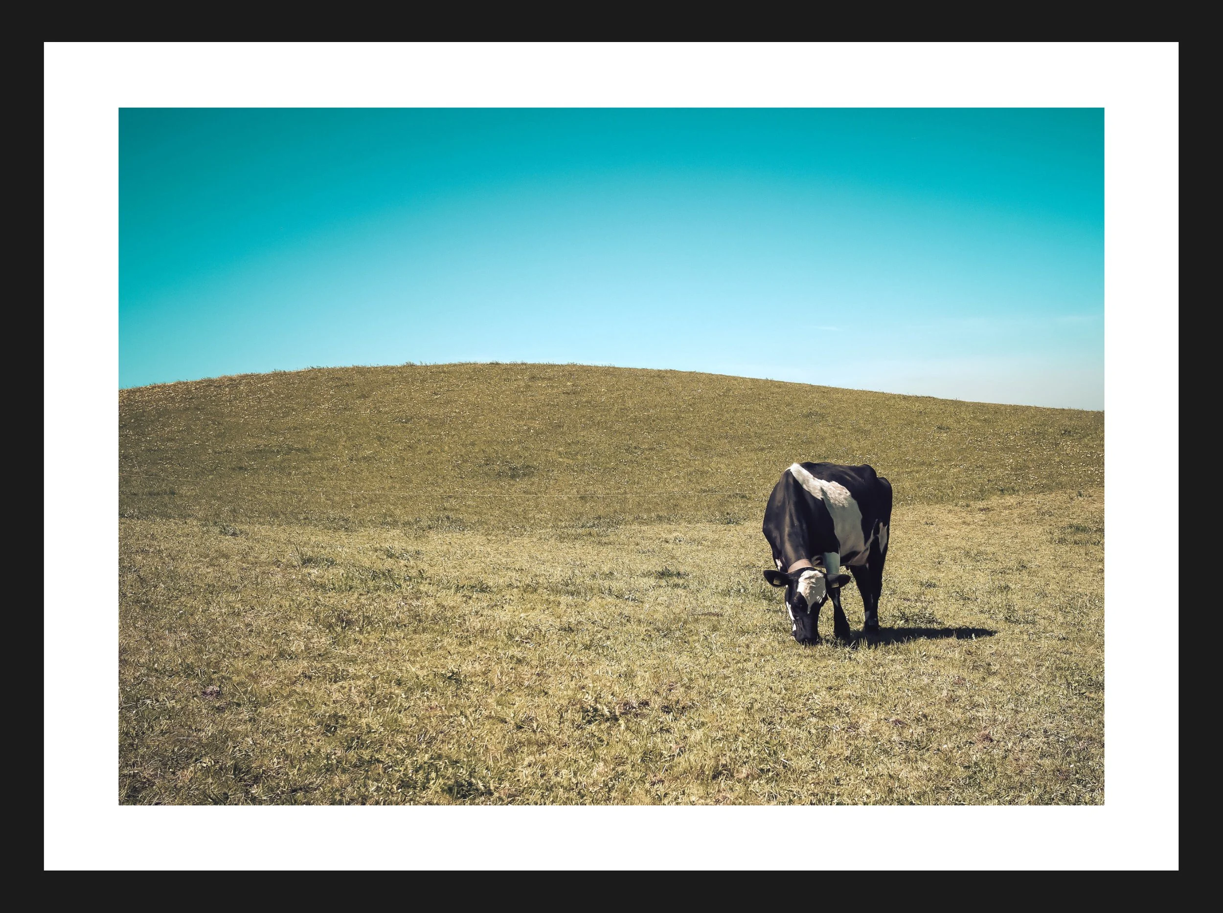 Dimensionen einstellen 2702x2019 px (32).jpeg