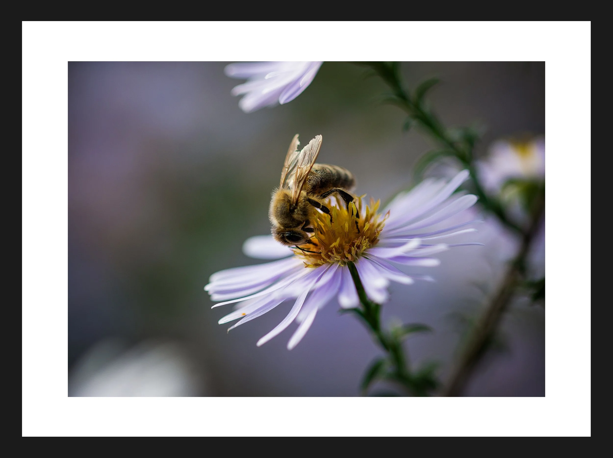 Dimensionen einstellen 2702x2019 px (54).jpeg