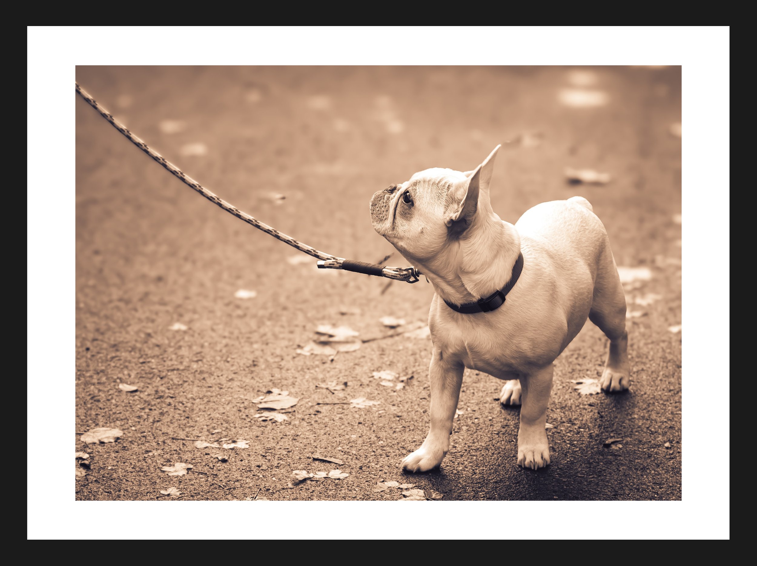 Dimensionen einstellen 2702x2019 px (27).jpeg