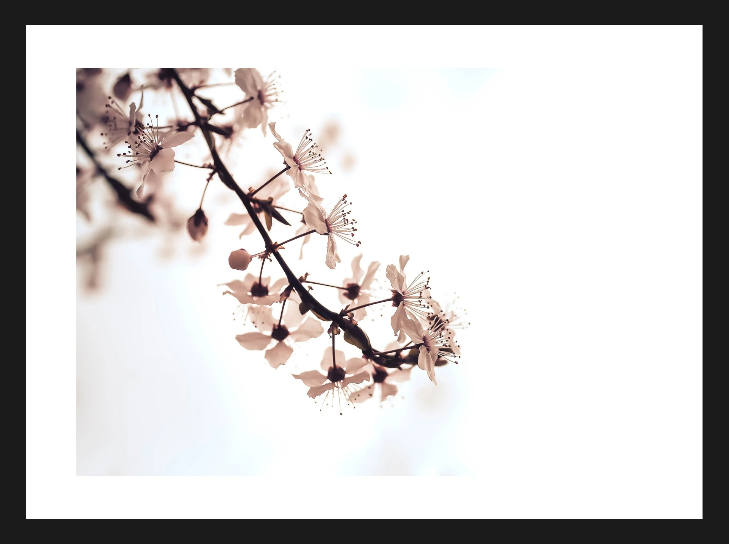 Dimensionen einstellen 2702x2019 px (46).jpeg