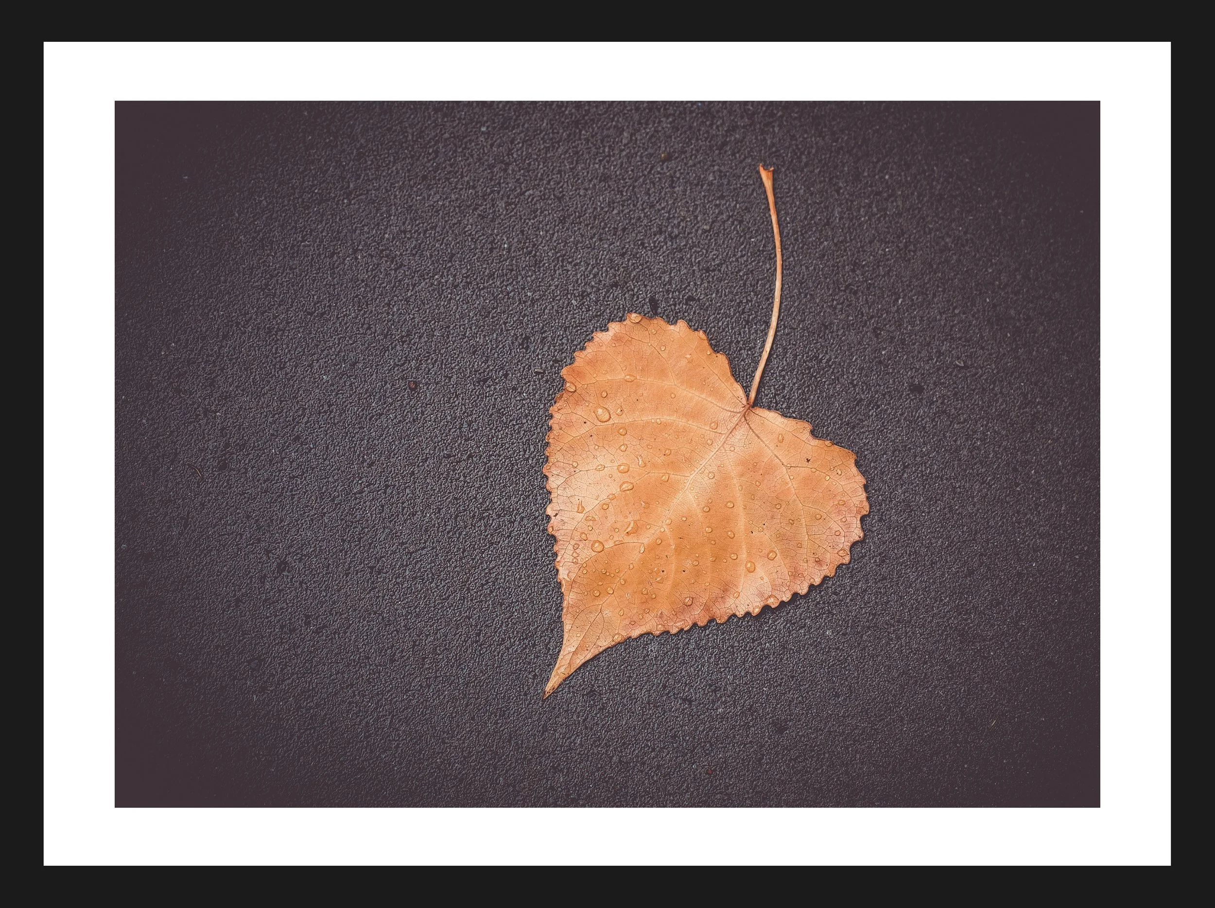 Dimensionen einstellen 2702x2019 px (20).jpeg