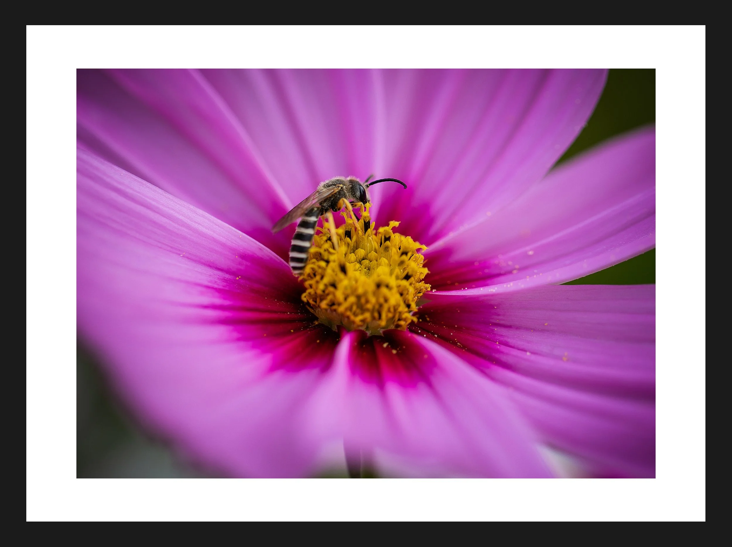 Dimensionen einstellen 2702x2019 px (61).jpeg