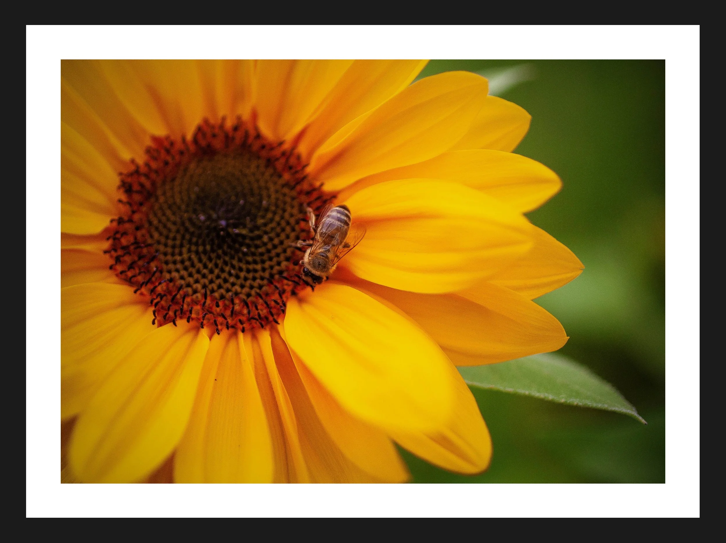 Dimensionen einstellen 2702x2019 px (16).jpeg