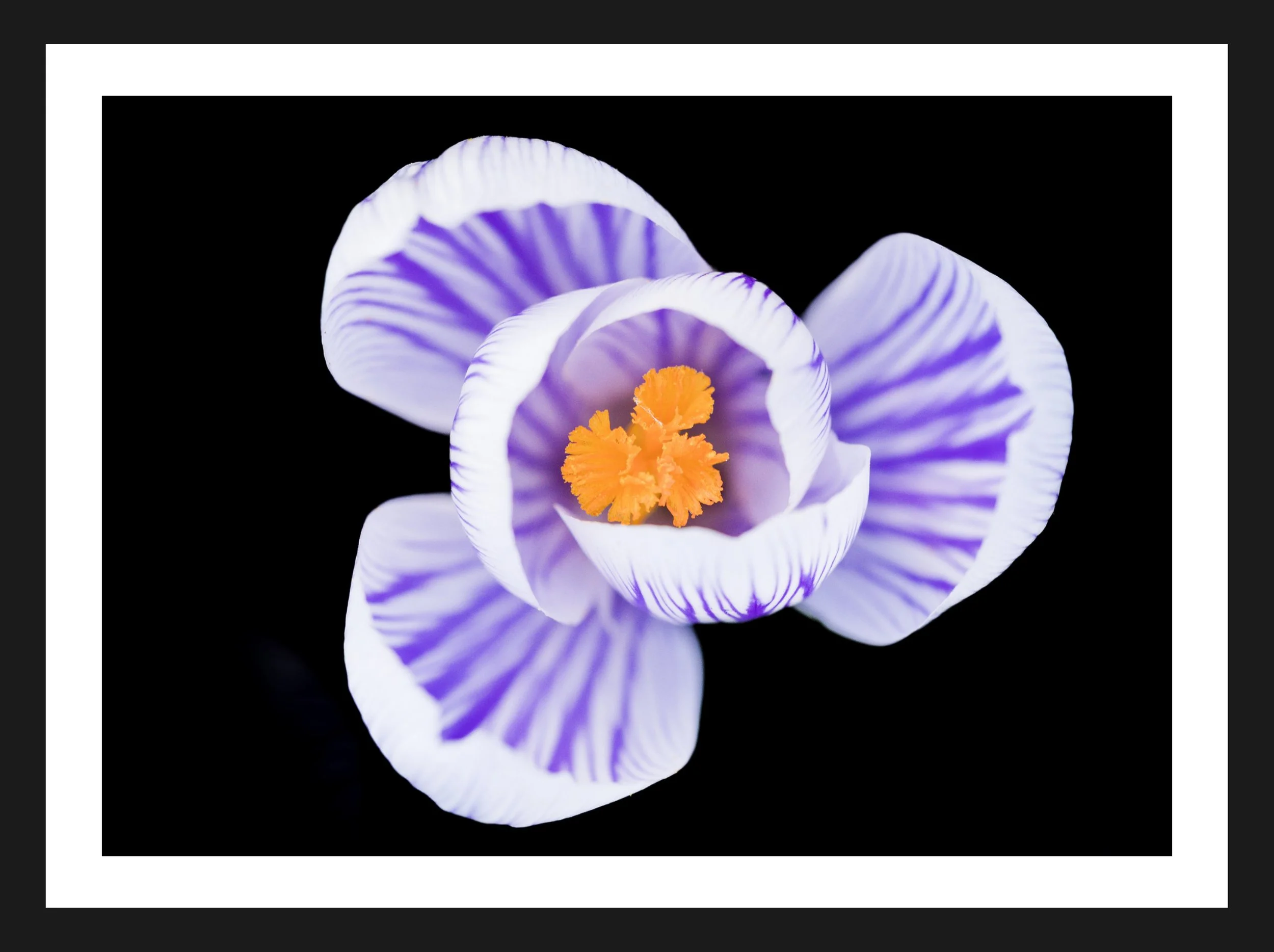 Dimensionen einstellen 2702x2019 px.jpeg