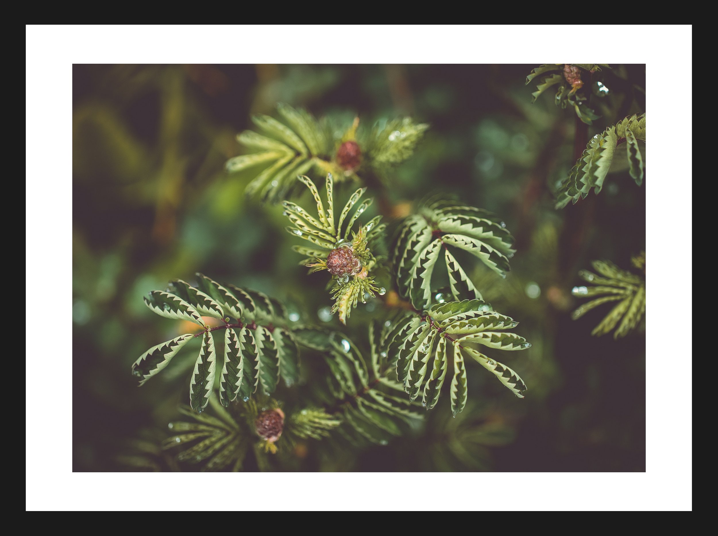 Dimensionen einstellen 2702x2019 px (44).jpeg