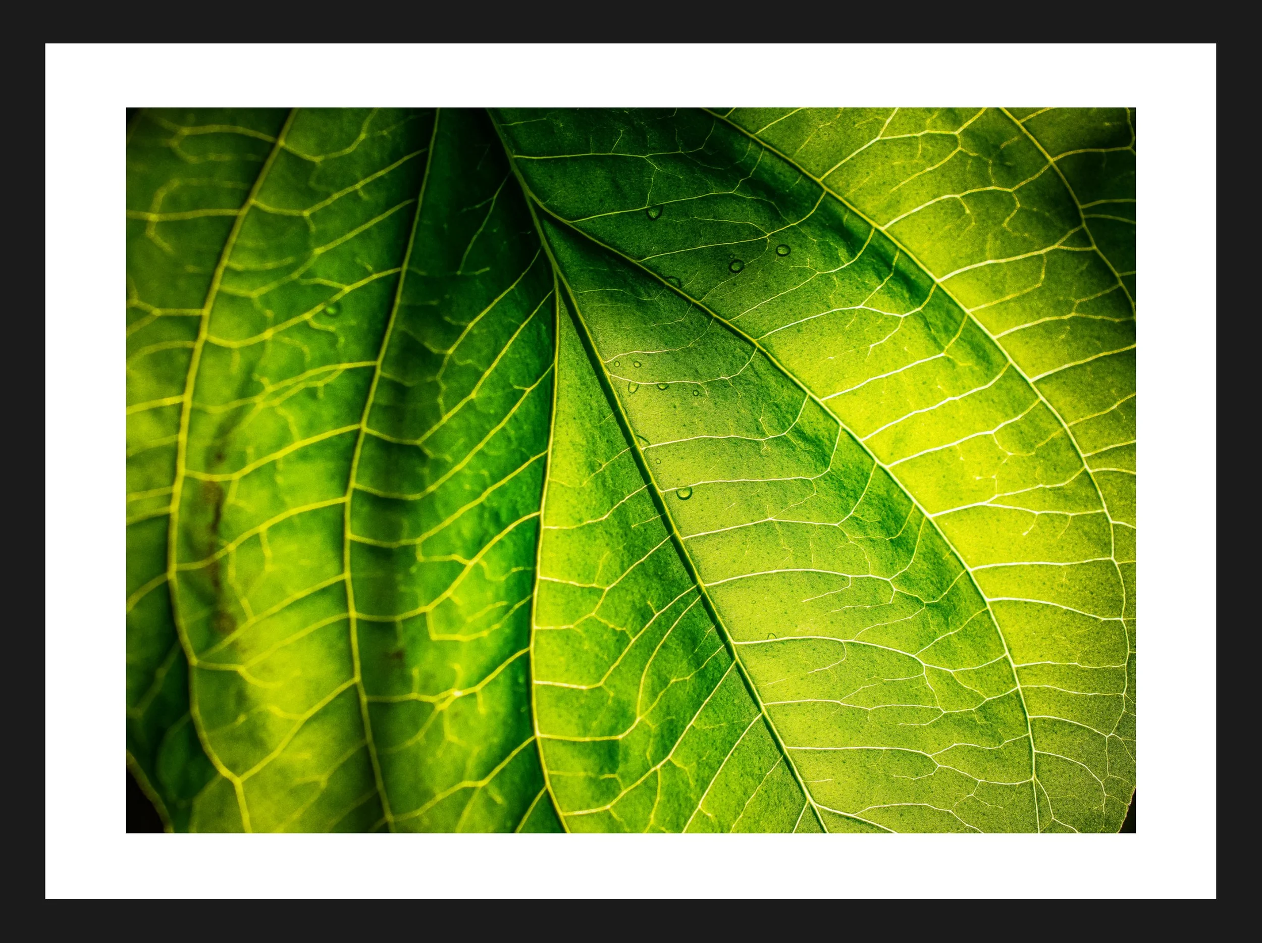 Dimensionen einstellen 2702x2019 px (29).jpeg