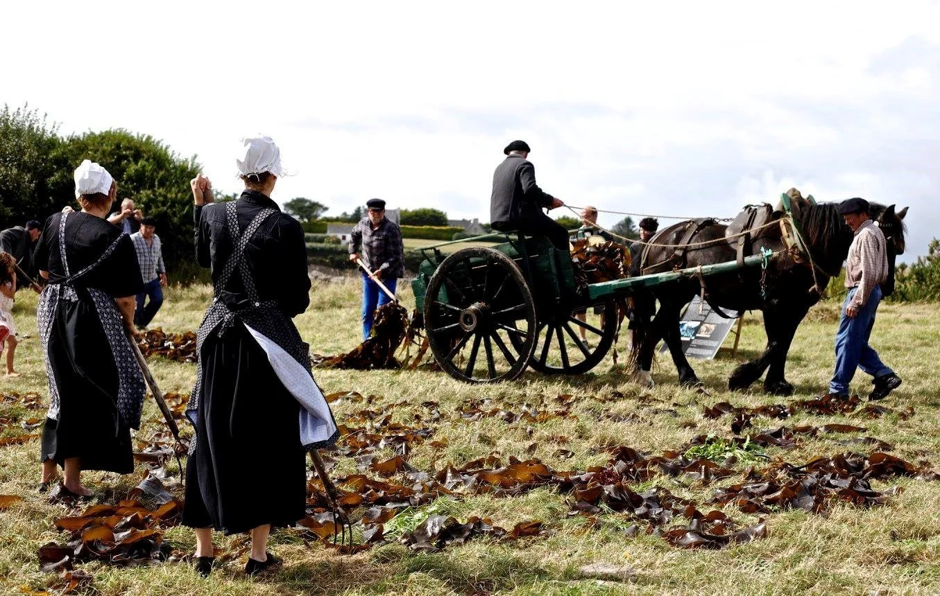 20861822_1912282622378278_3628268305615854010_o (2).jpg