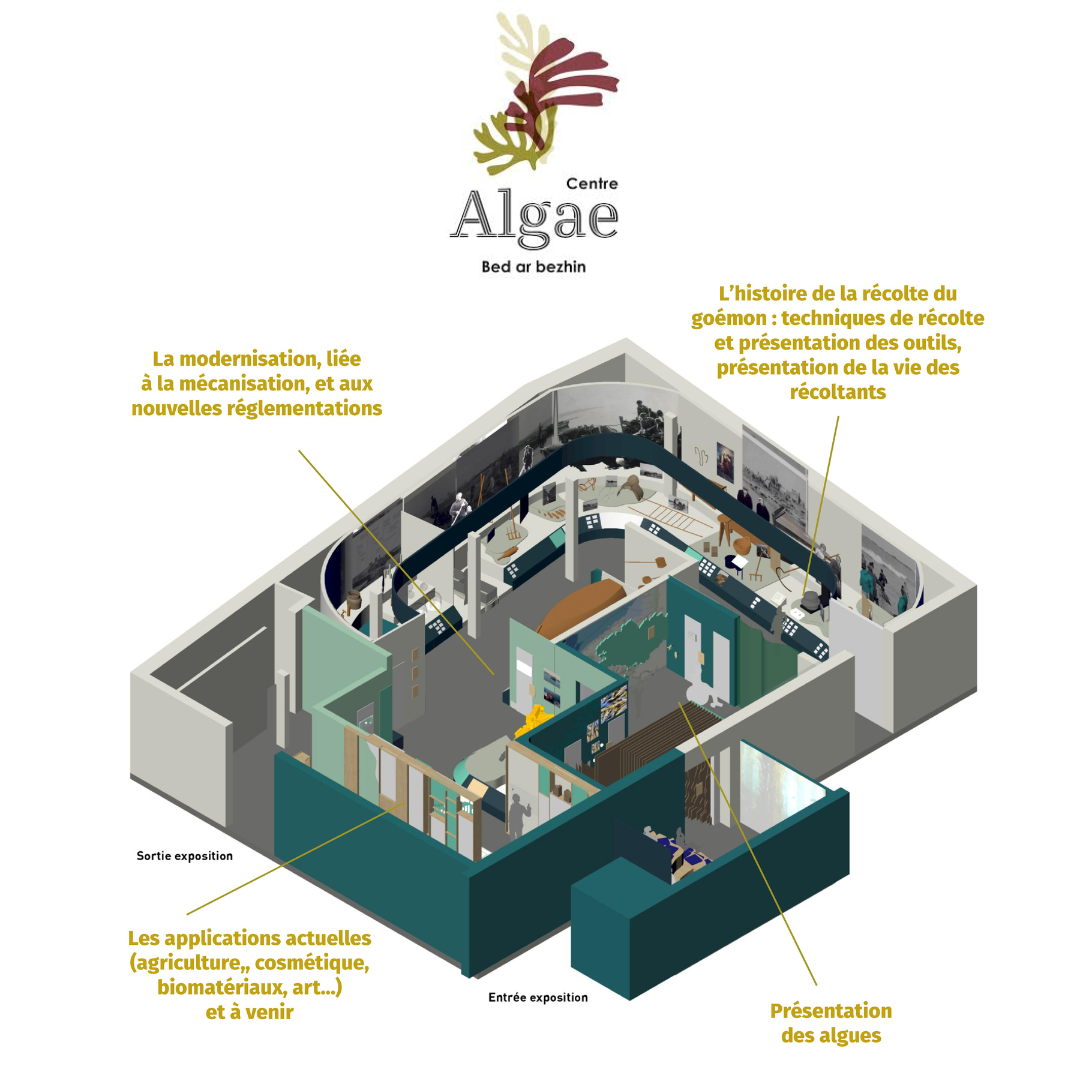 Le Centre ALGAE : un lieu aux multiples facettes