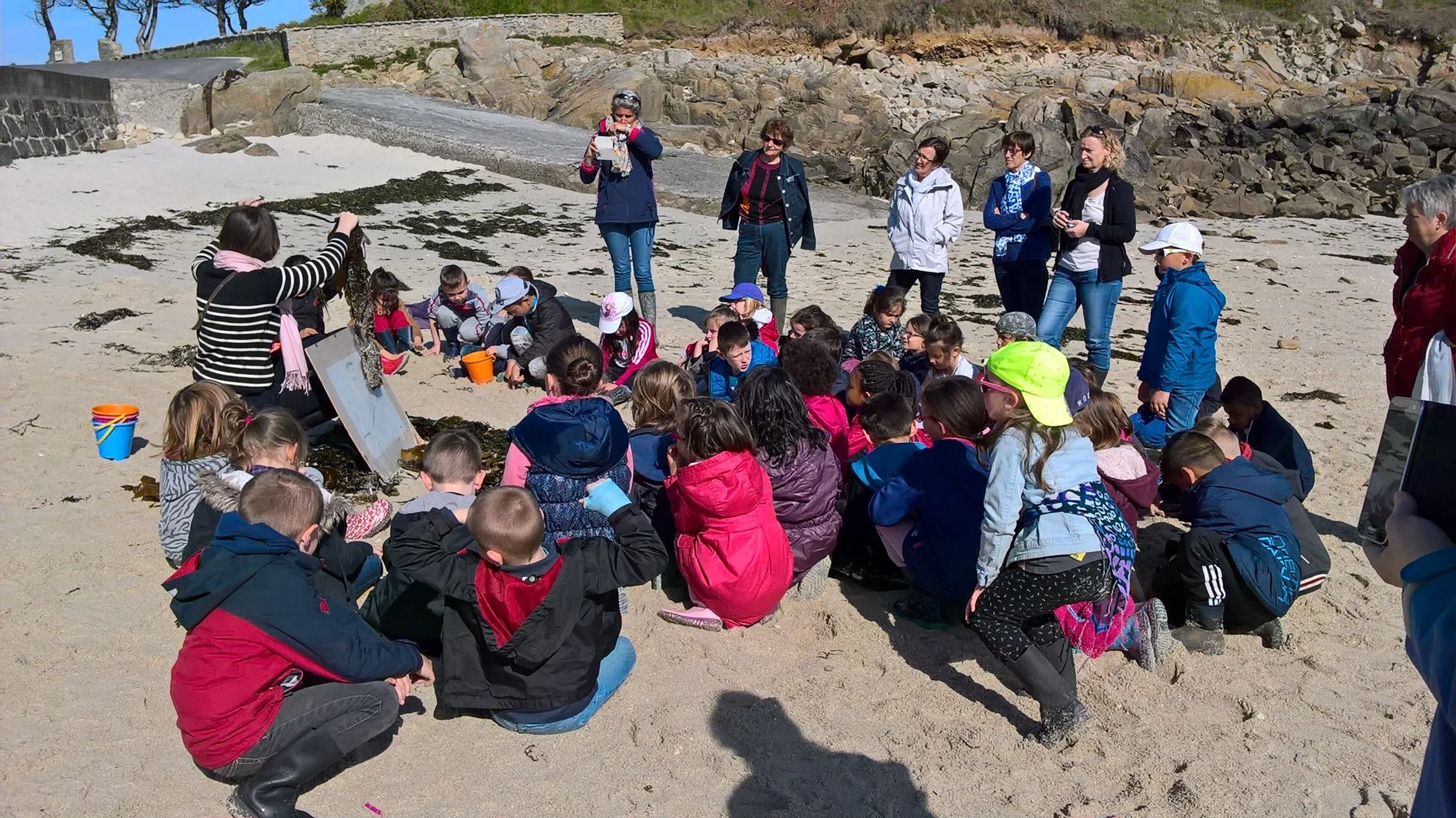Groupe d'enfants et d'adultes sur une plage, observant des algues et participant à une activité éducative.
