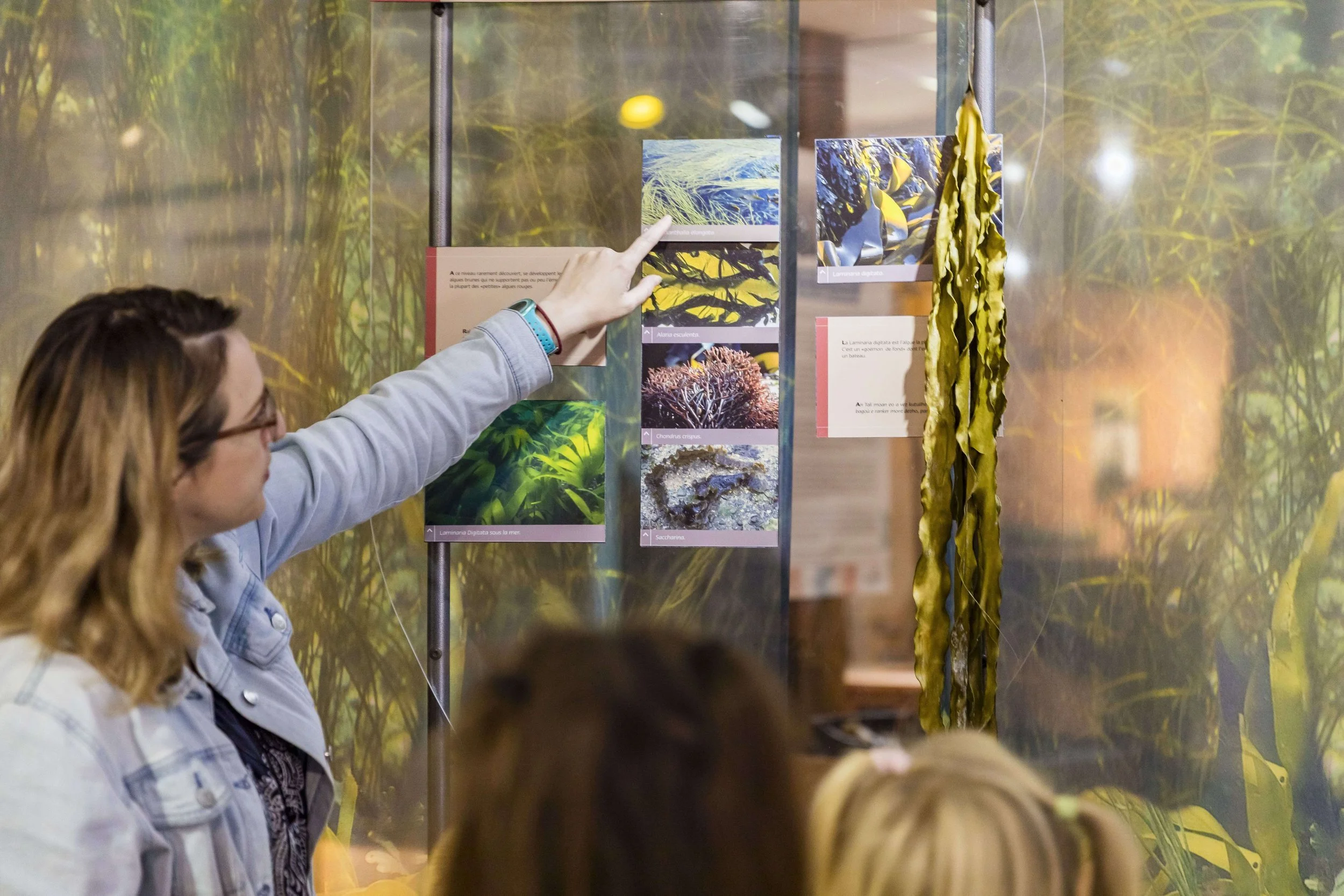 La médiatrice du Centre ALGAE montre du doigt a des enfants les différents types d'algues.