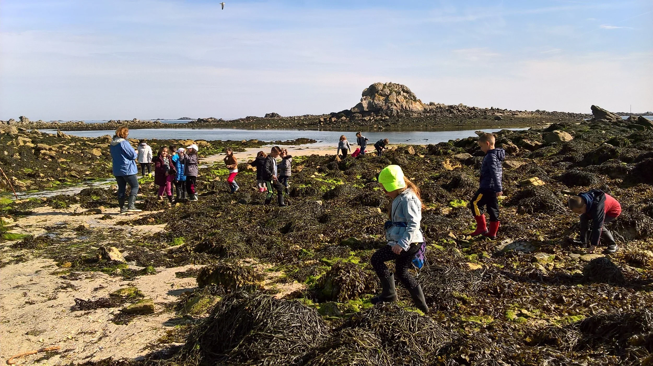 Un groupe d'enfants et un adulte explorant des rochers couverts d'algues au bord de la mer, avec une formation rocheuse en arrière-plan.