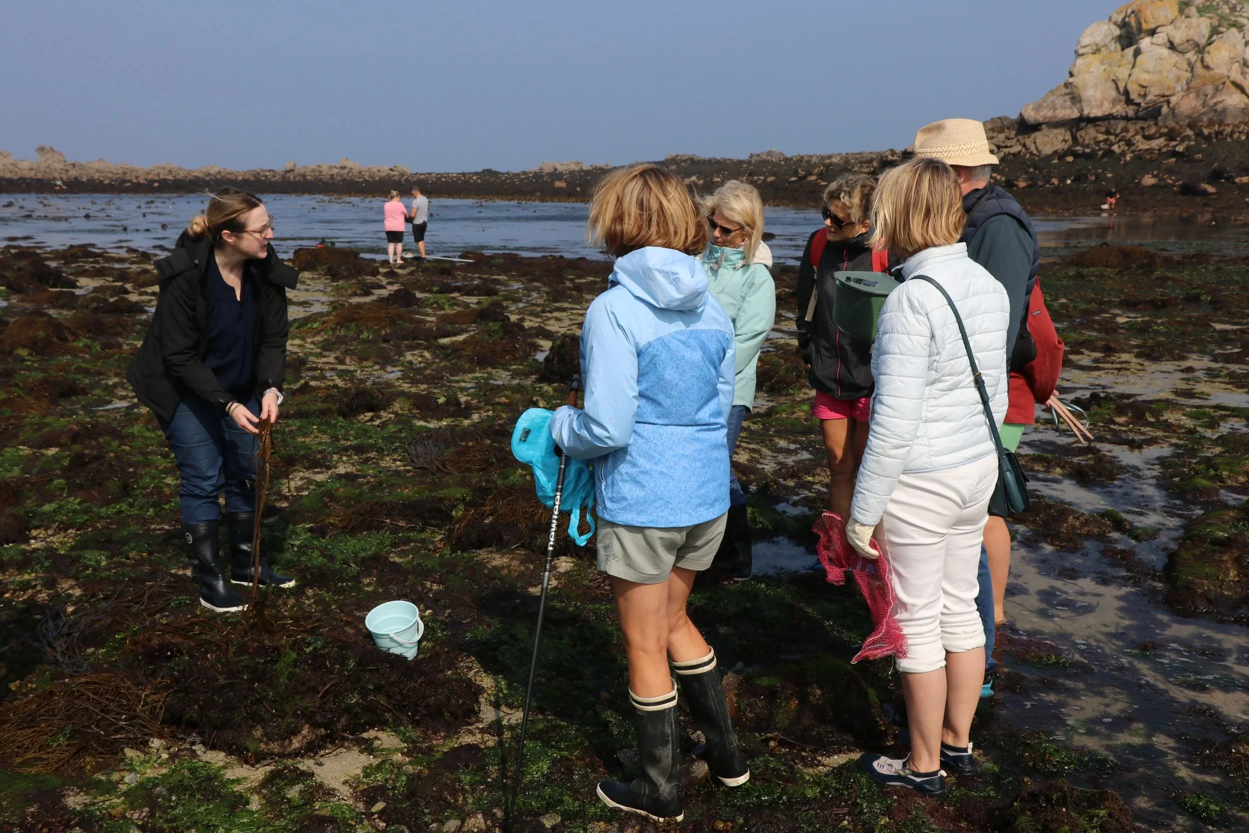 Un groupe de personnes sur une plage rocheuse, portant des vêtements de plein air et discutant. Certaines tiennent des sacs ou des seaux, et il y a de la végétation marine au sol. Des rochers et la mer sont visibles en arrière-plan.