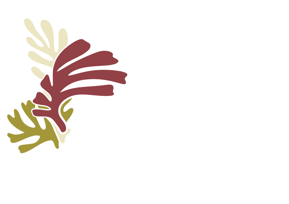 Logo Centre ALGAE, représentant 3 algues : une rouge, une verte et une blanche. La baseline Bed ar bezhin est présente et signifie en francais "le monde des algues"
