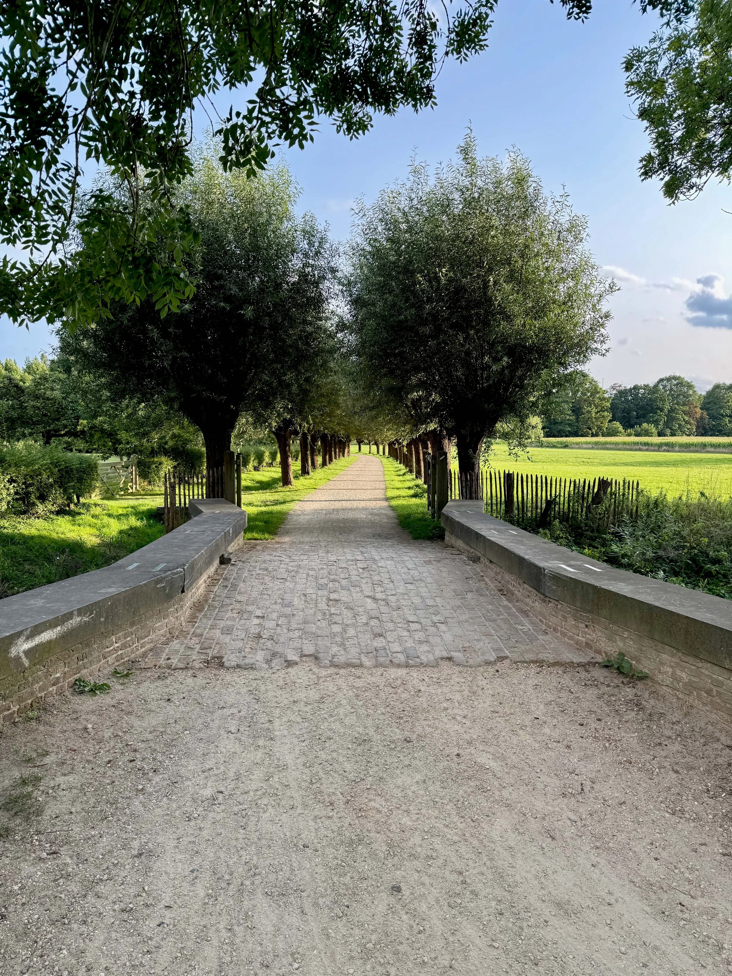 Kopie van 2025-08-05 -_ DW Deurne 19 c.jpg