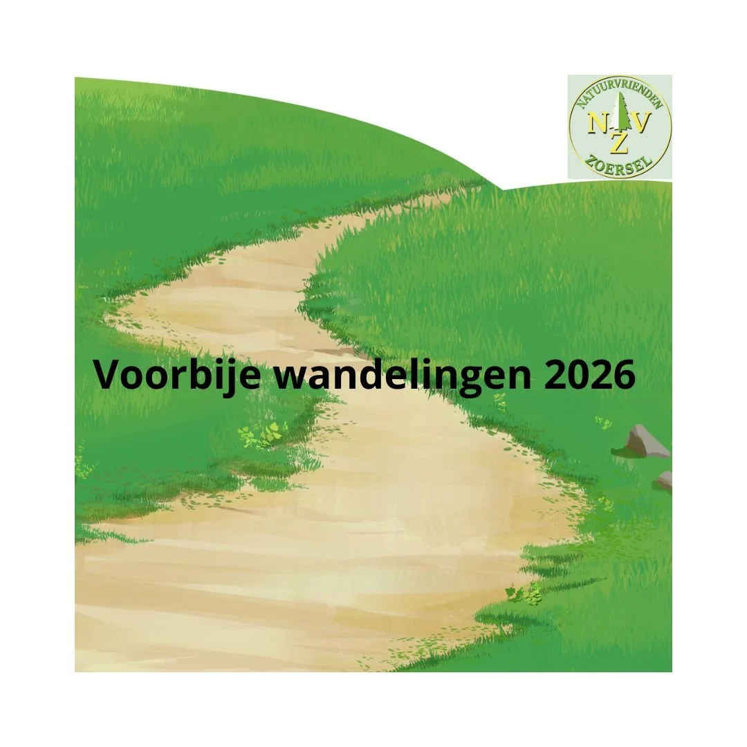 Voorbije wandelingen 2026