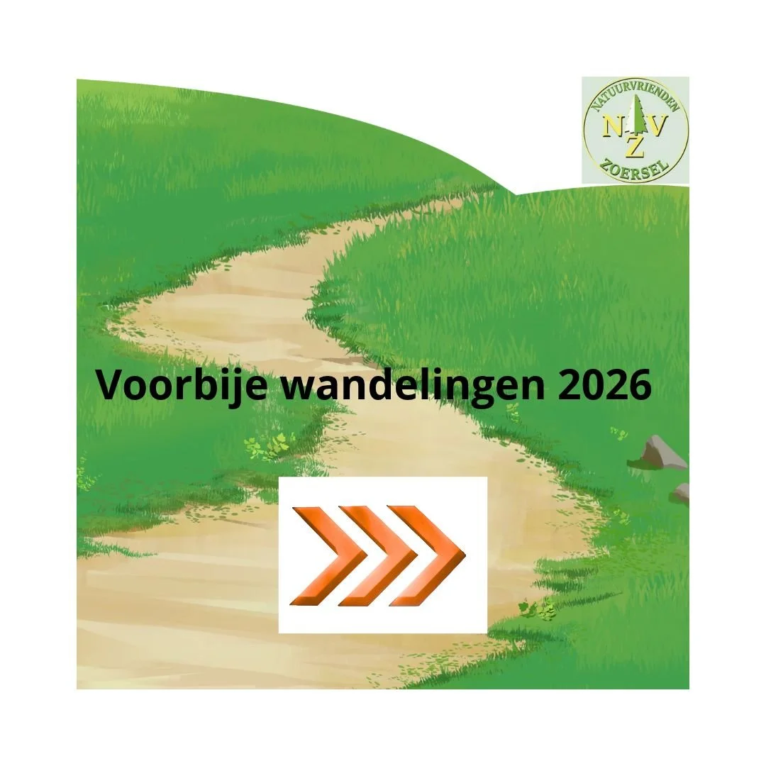 Voorbije wandelingen 2026  >>>
