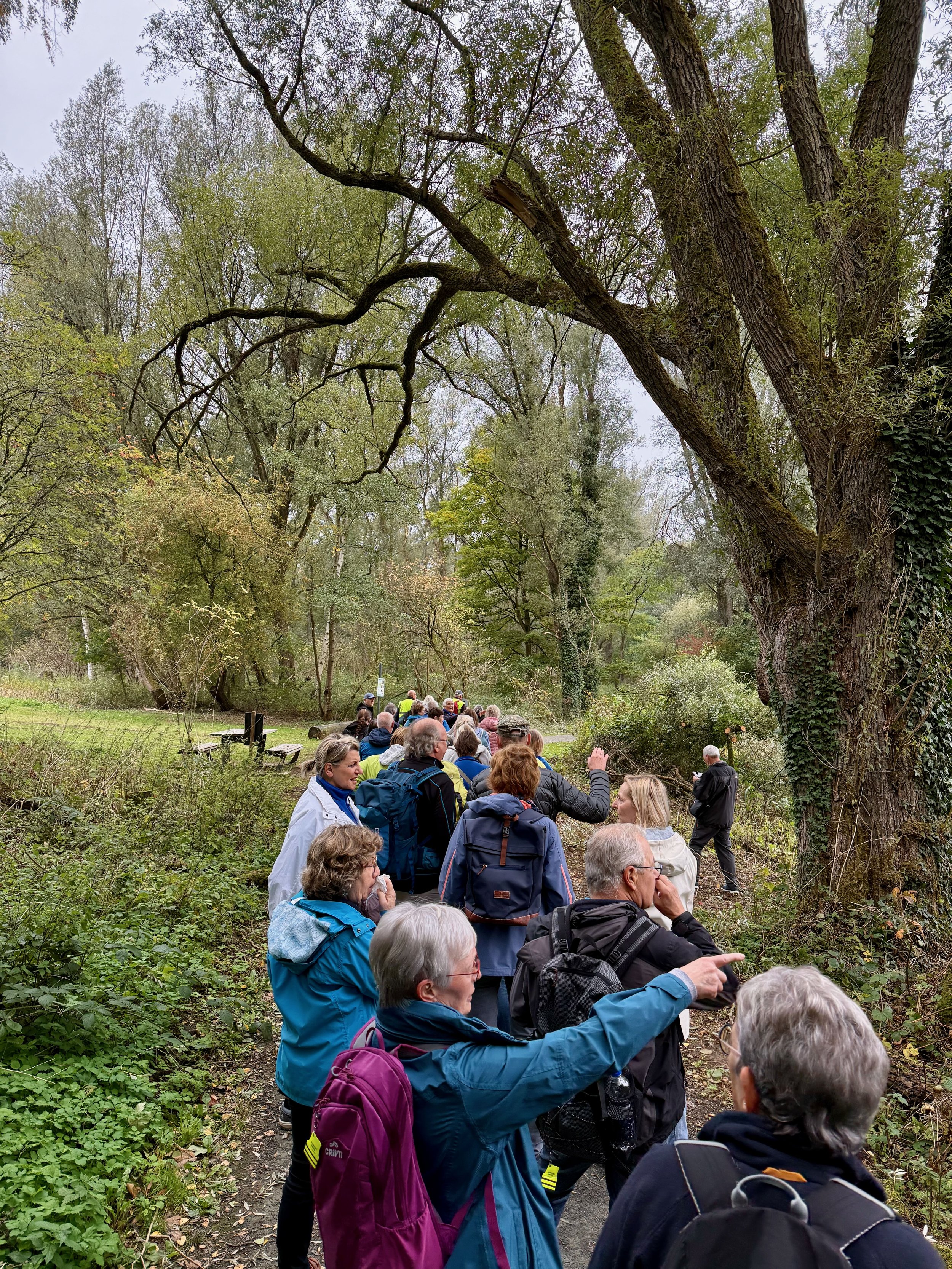 2025-10-07 -_ DW Schilde 26.jpeg