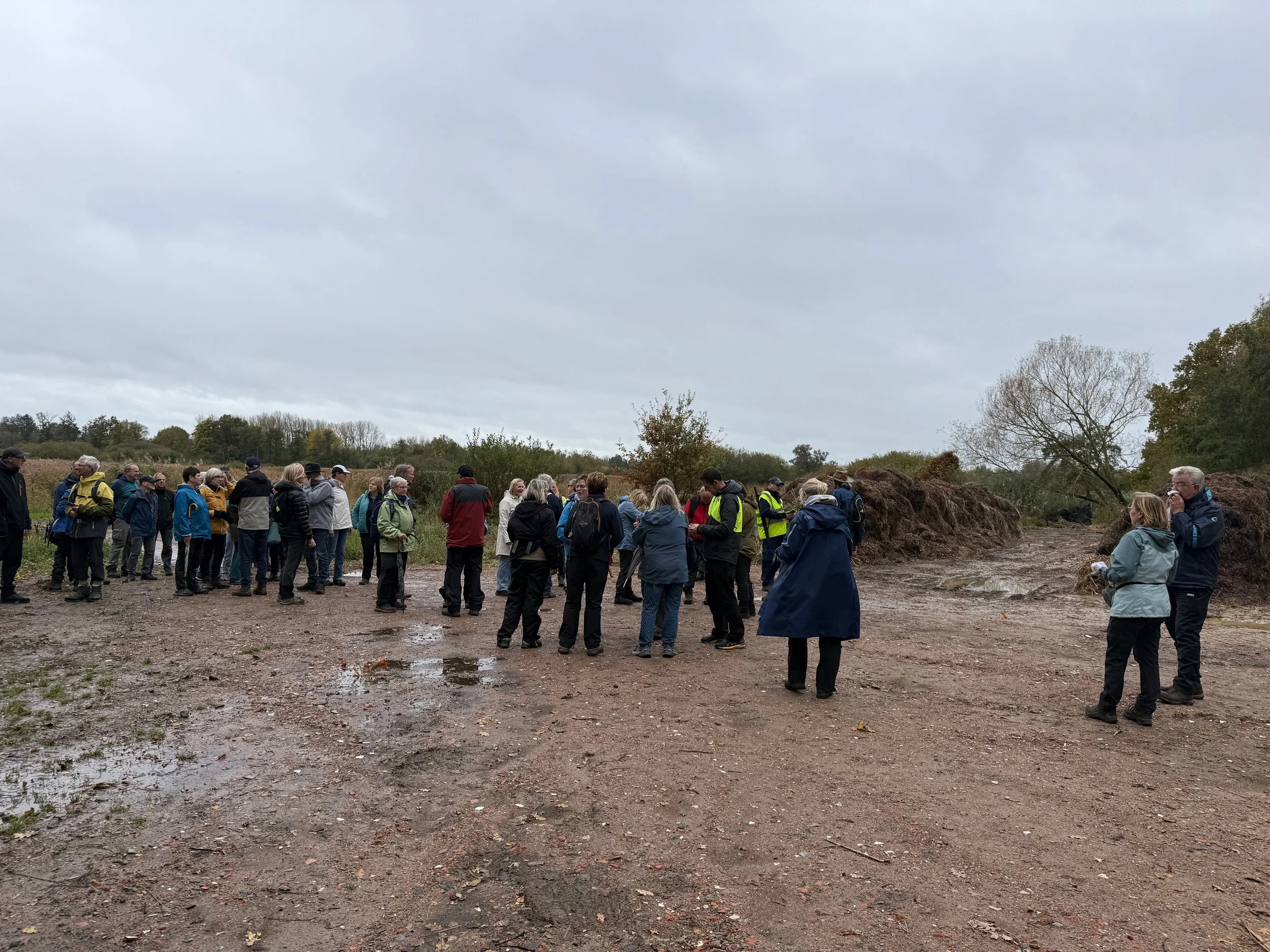 2025-10-28 -_ DW Viersel 6.jpeg