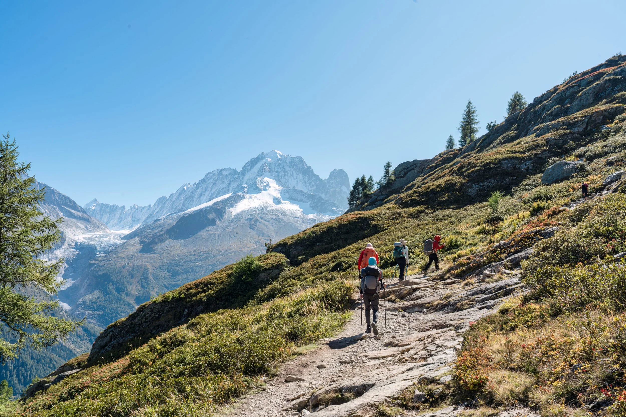 group-of-hiker-hiking-on-summit-trail-amidst-the-f-2026-01-09-10-48-36-utc-1-scaled.jpg