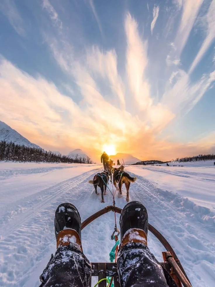 Vus de derrière, des bottes de traîneau en bois et des skis sur neige avec un paysage de neige, des silhouettes de chiens de traîneau tirant un traîneau, et un coucher de soleil brillant dans un ciel orageux avec des montagnes en arrière-plan.