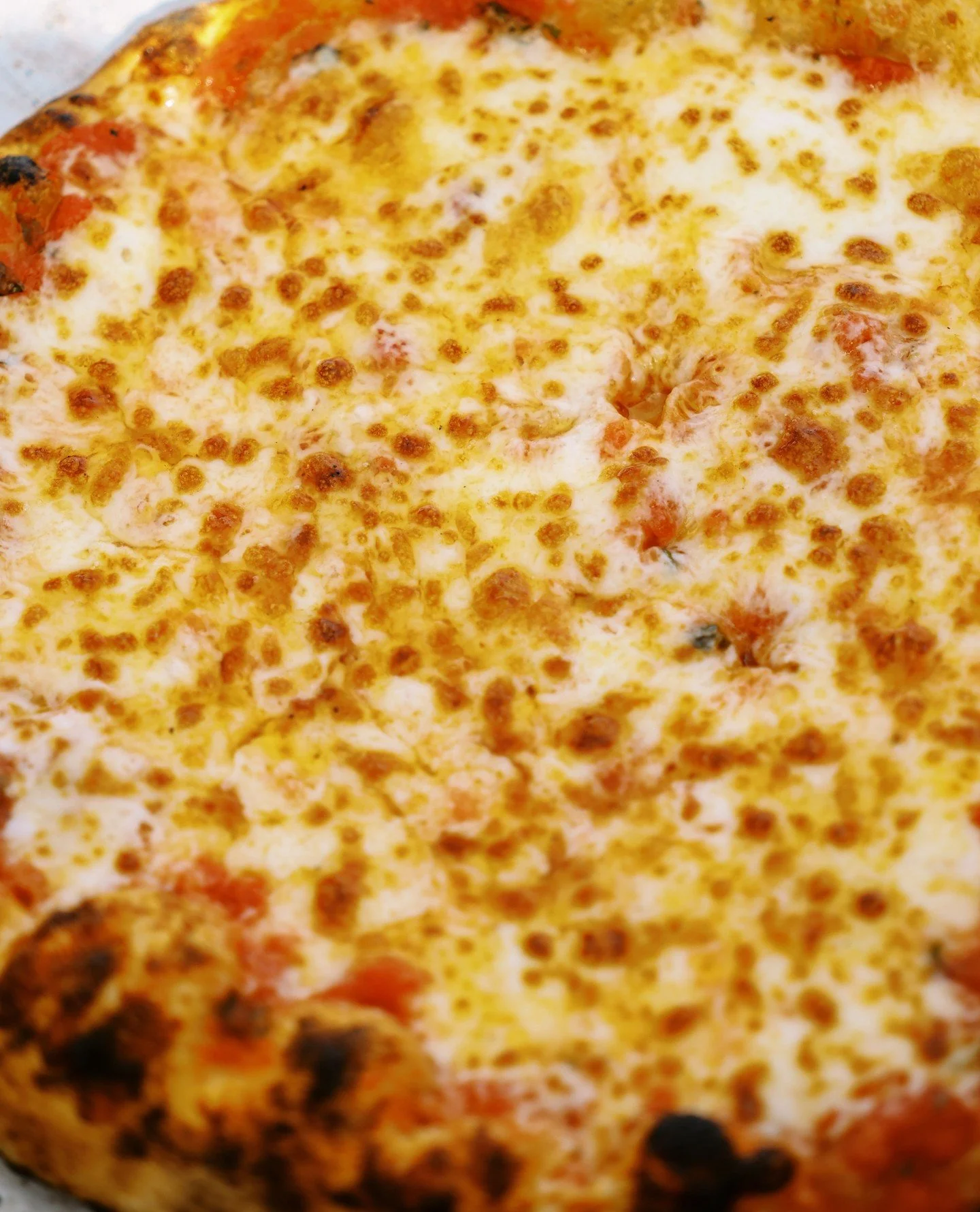 ⁠🧀 Sometimes all you need is cheese&hellip; and maybe another slice.⁠
⁠
#pizza #sundayfunday #cheesepizza #albanyny #upstateny⁠