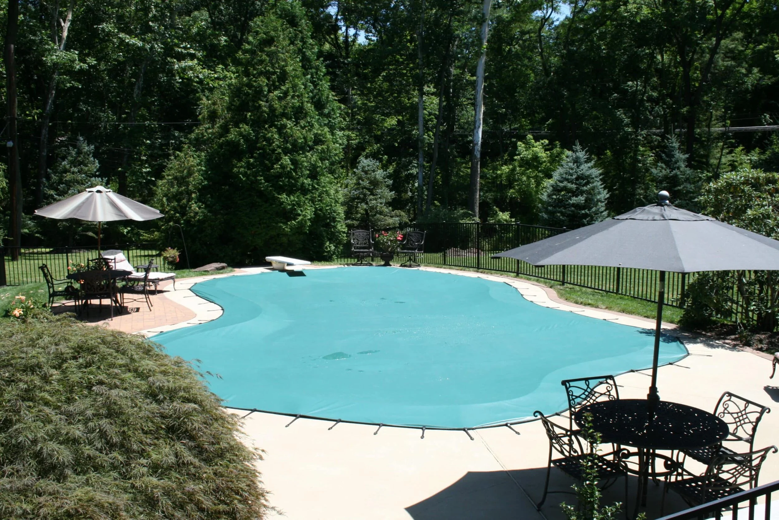 pool guard.jpg