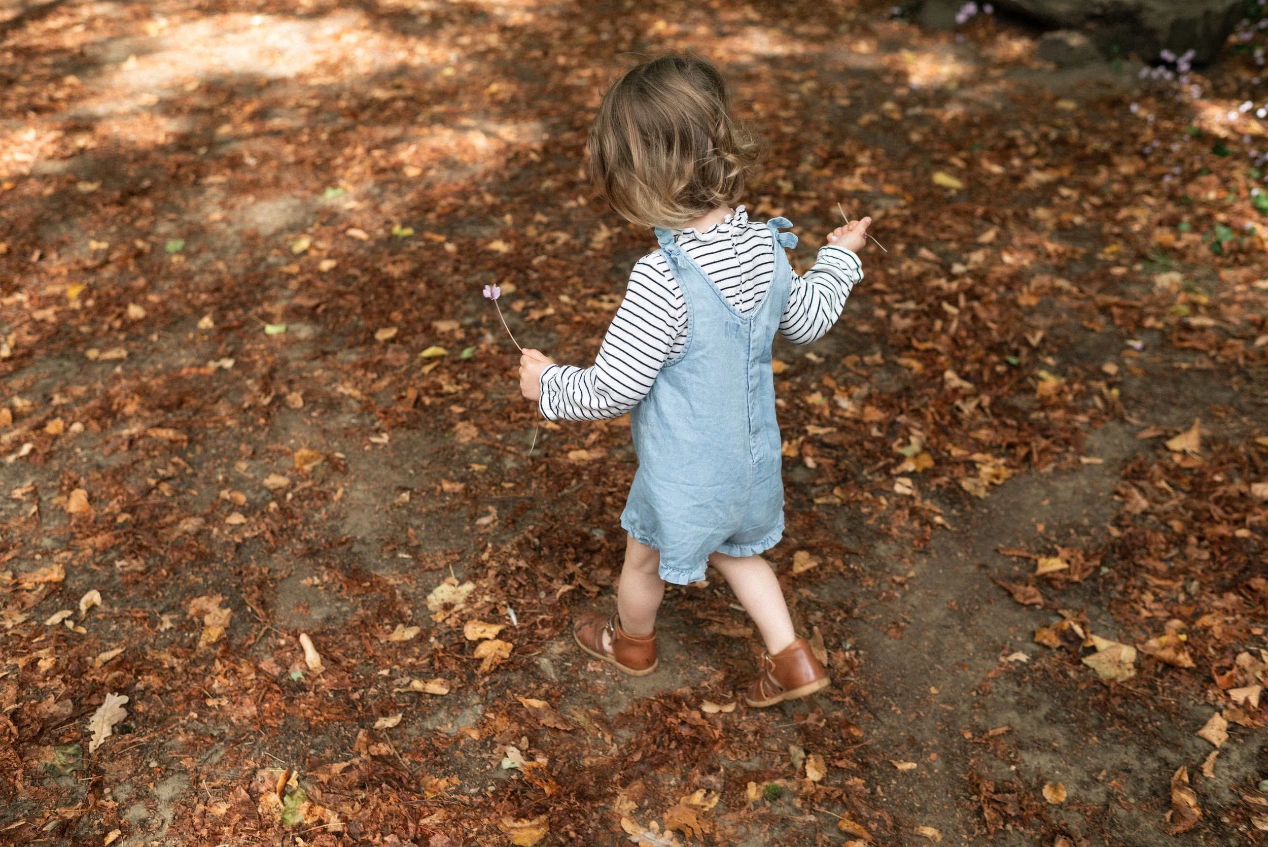 une enfant de dos marchant avec un tapis de feuilles d'automne