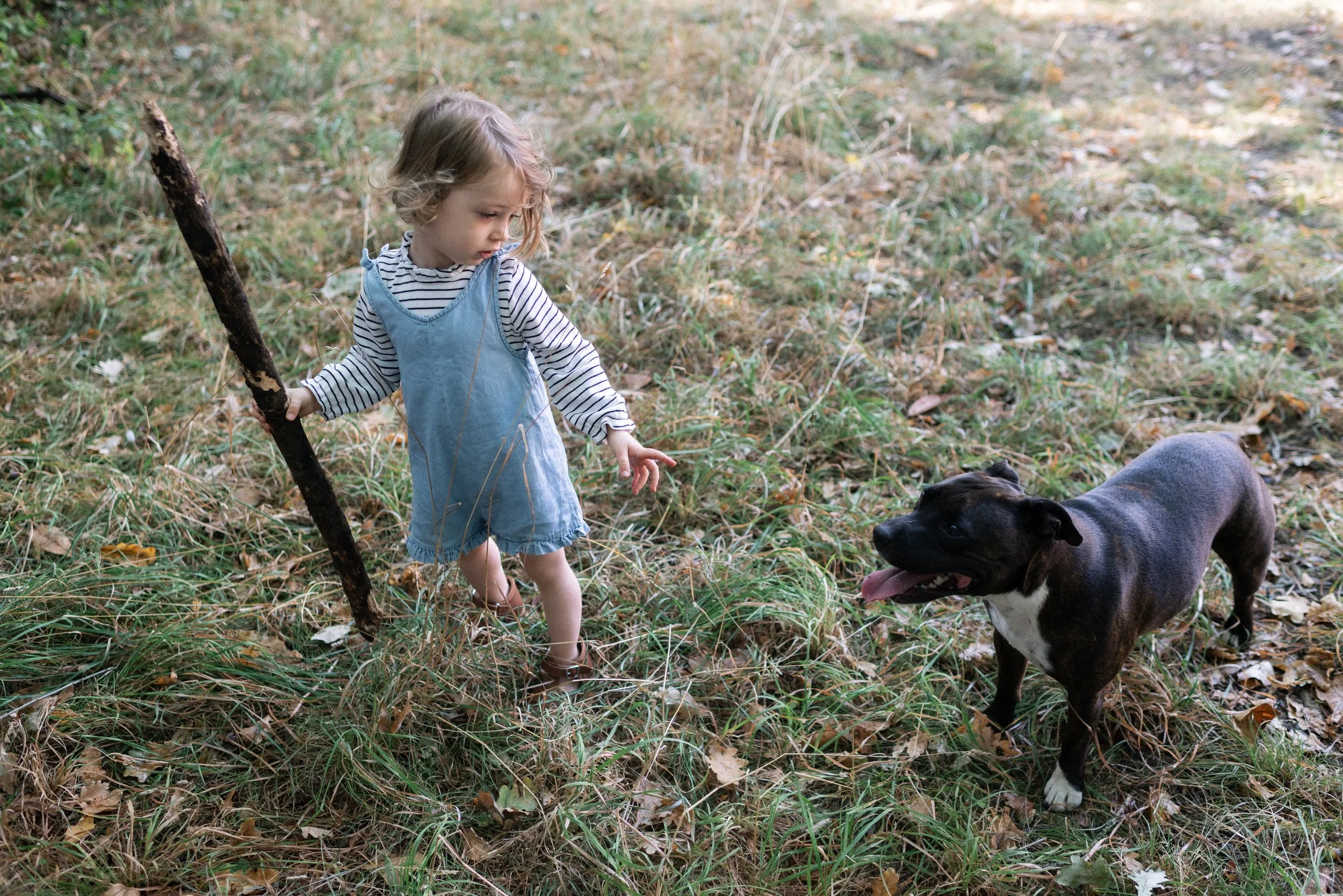 une enfant et son chien photographié à Ancenis
