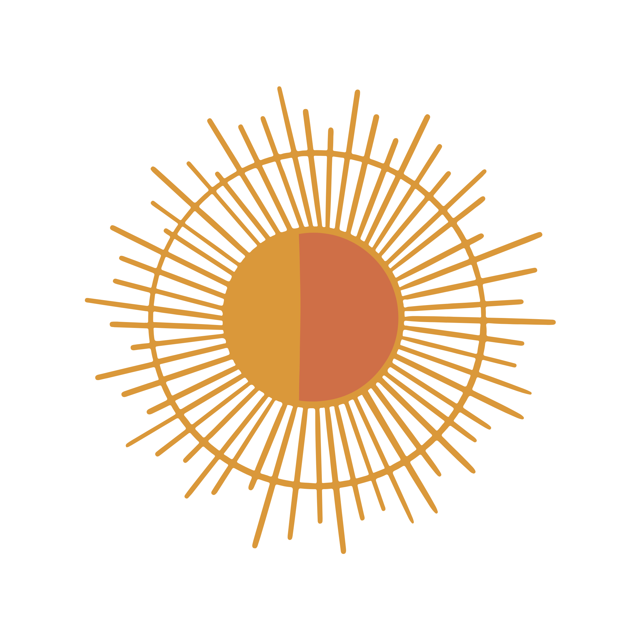 A circular pie chart divided into two equal halves, surrounded by a radiating sunburst pattern with golden lines on a black background.