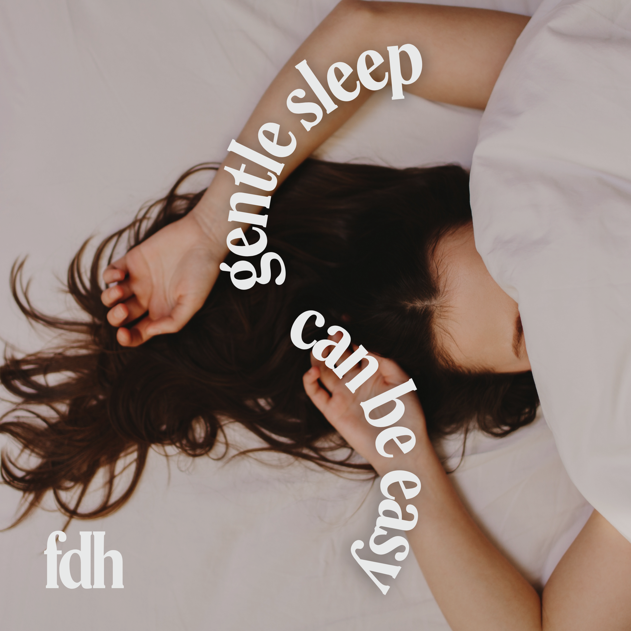 Field Day Herbals Botanical Education: Lavender