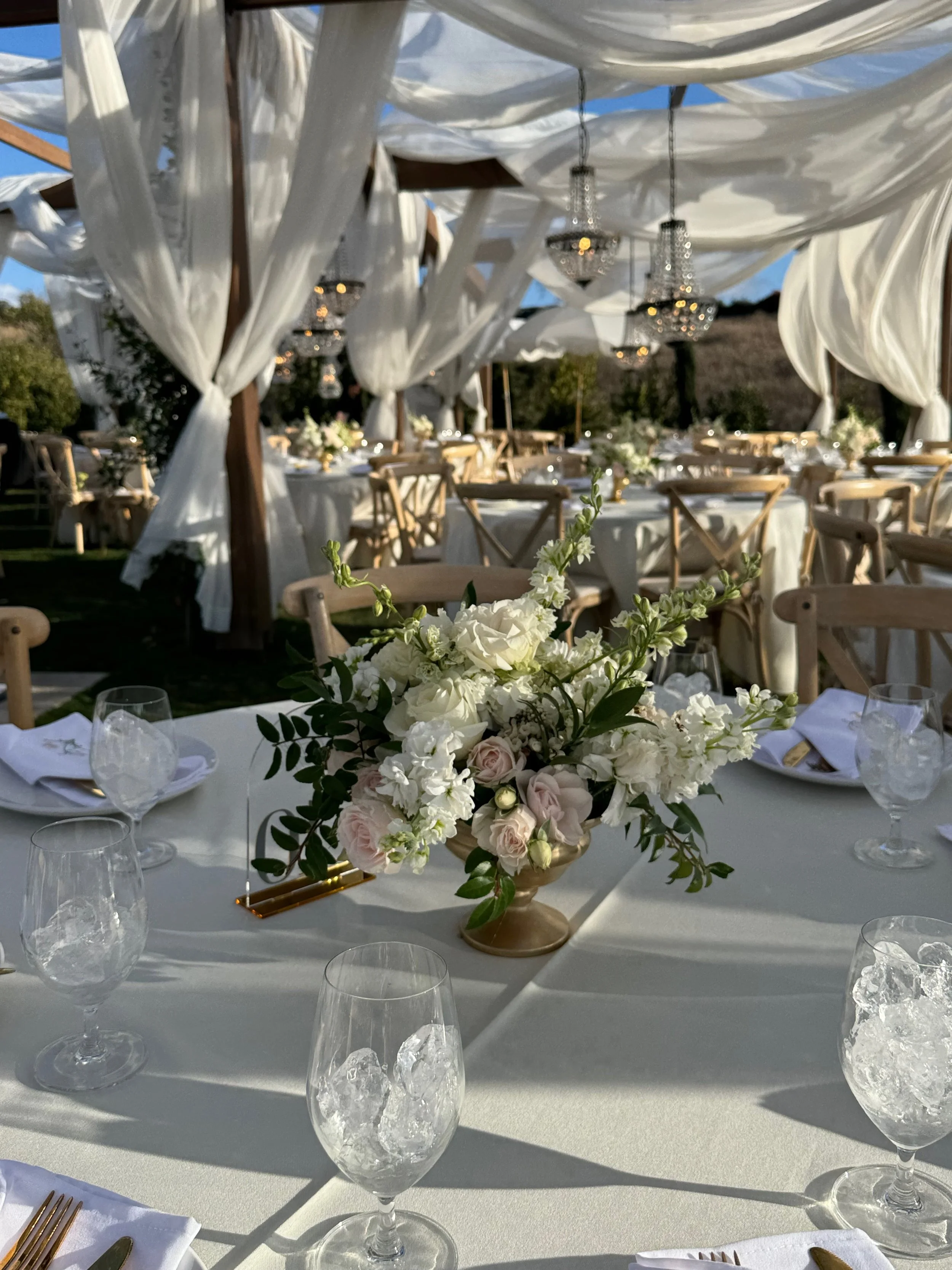 Weddings - 1 (6).jpeg